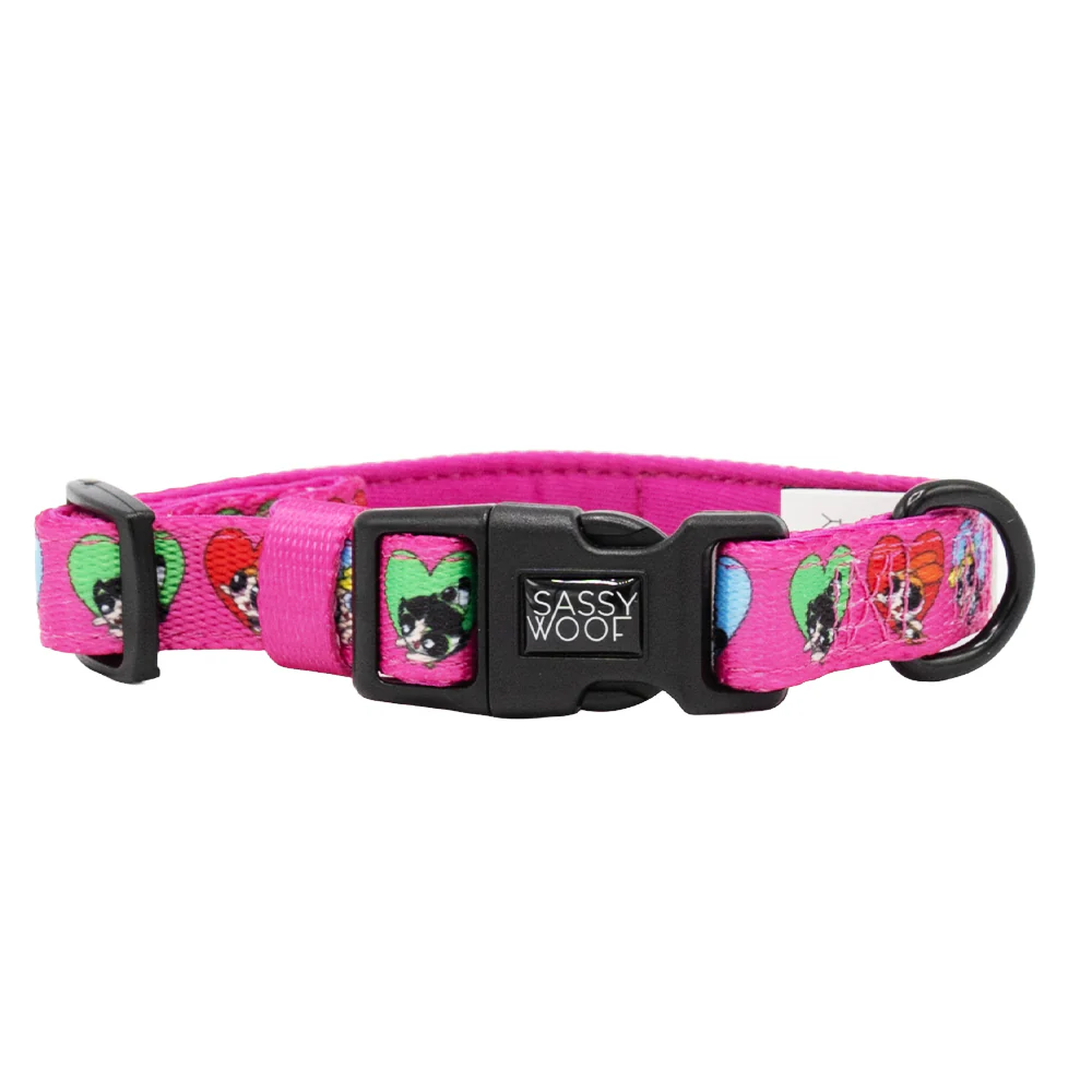 Dog Collar - The Powerpuff Girls™ (Love) - Image 2