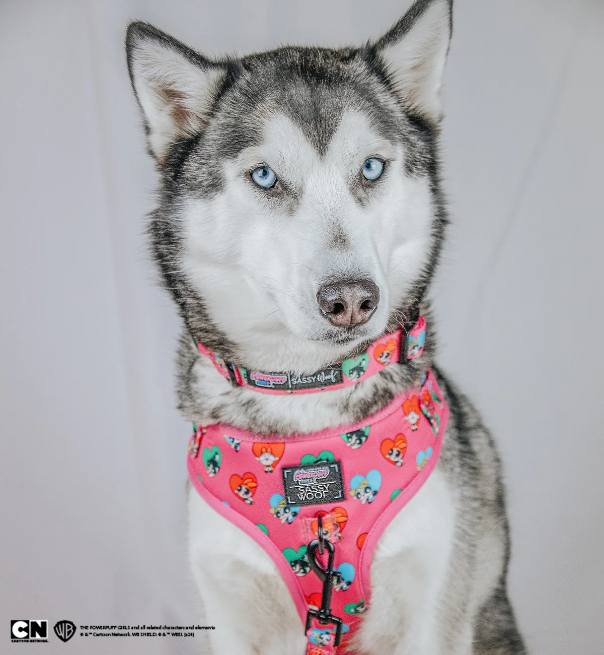 Dog Collar - The Powerpuff Girls™ (Love) - Image 6