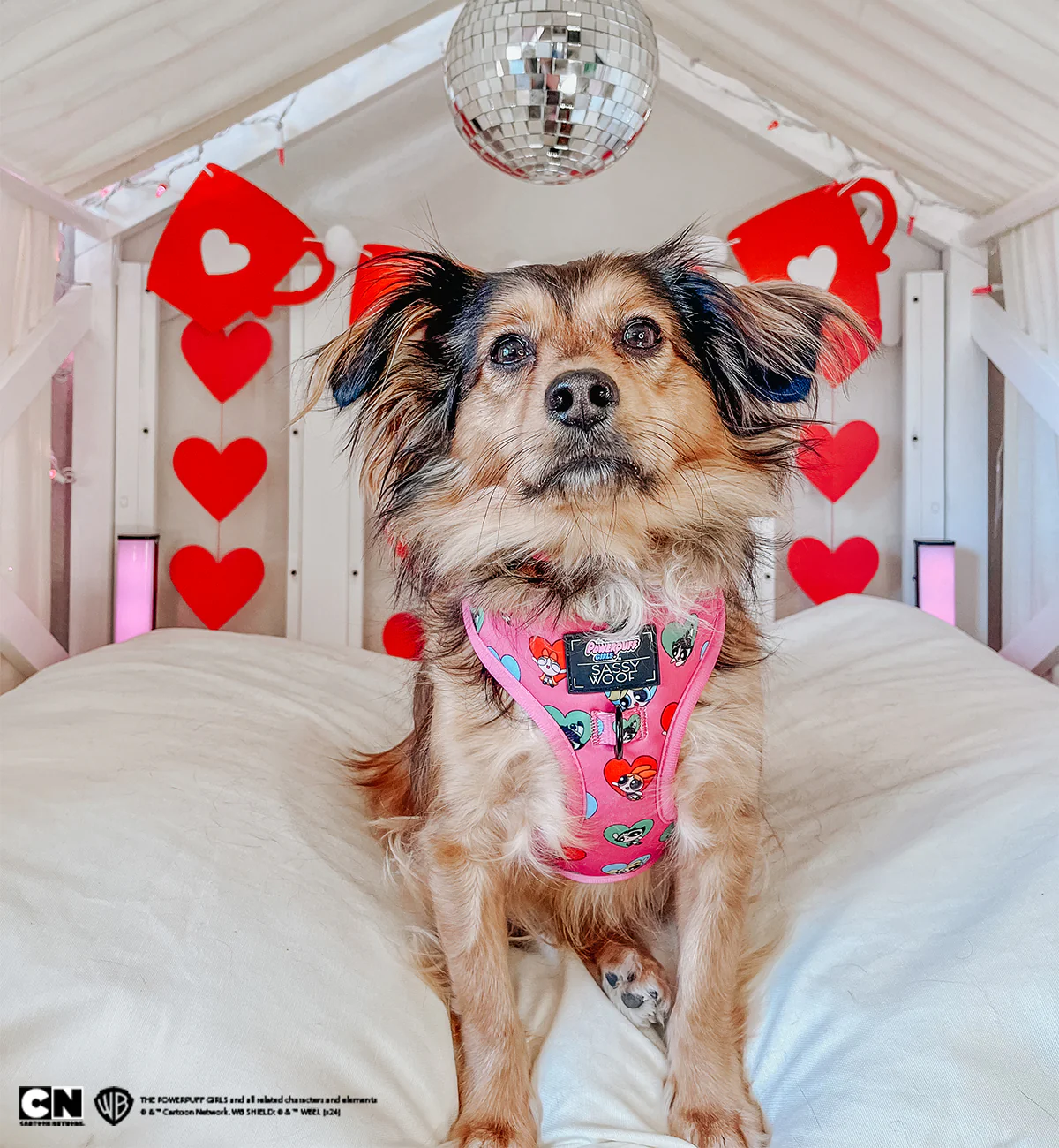 Dog Collar - The Powerpuff Girls™ (Love) - Image 7