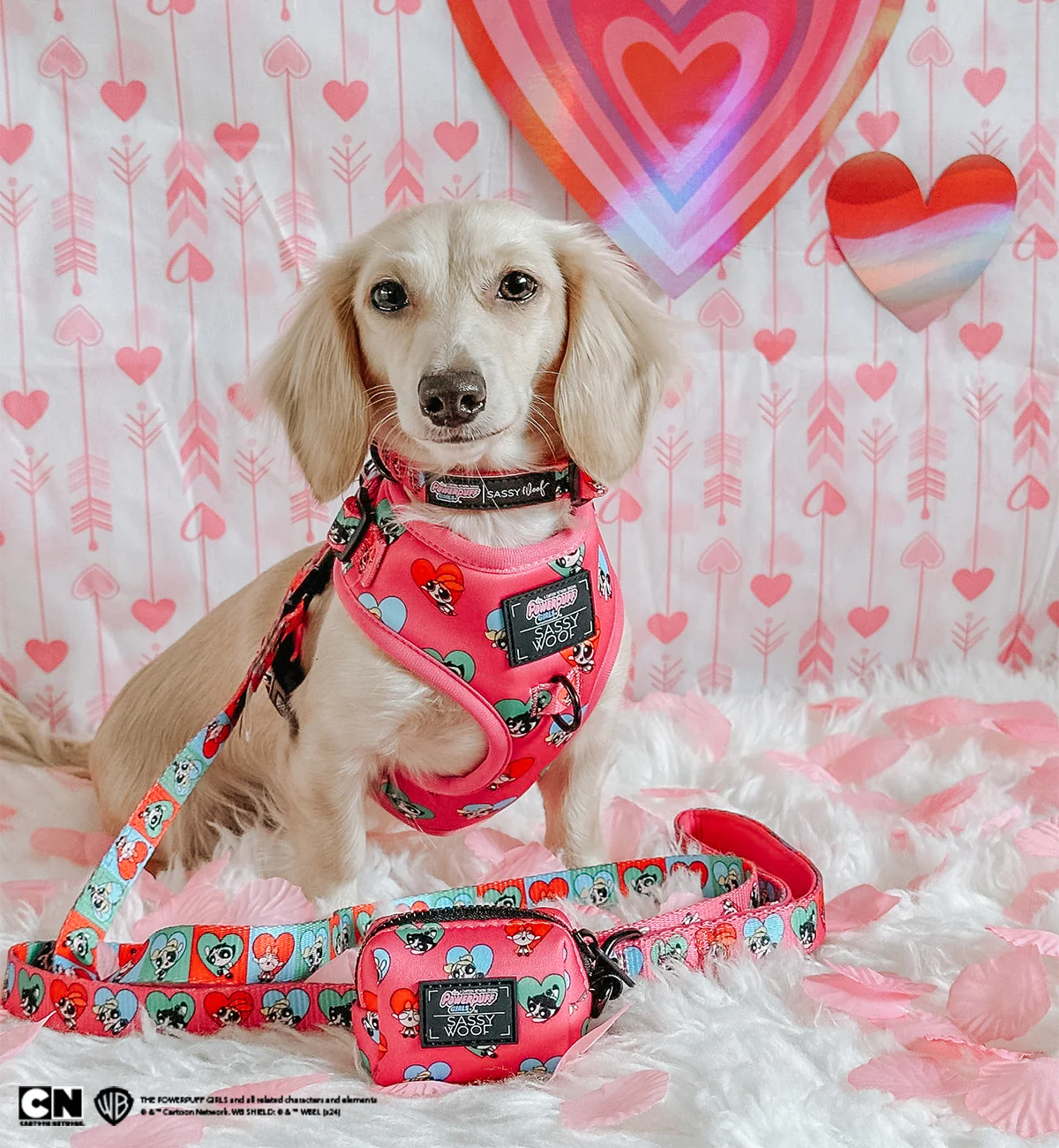Dog Collar - The Powerpuff Girls™ (Love) - Image 8