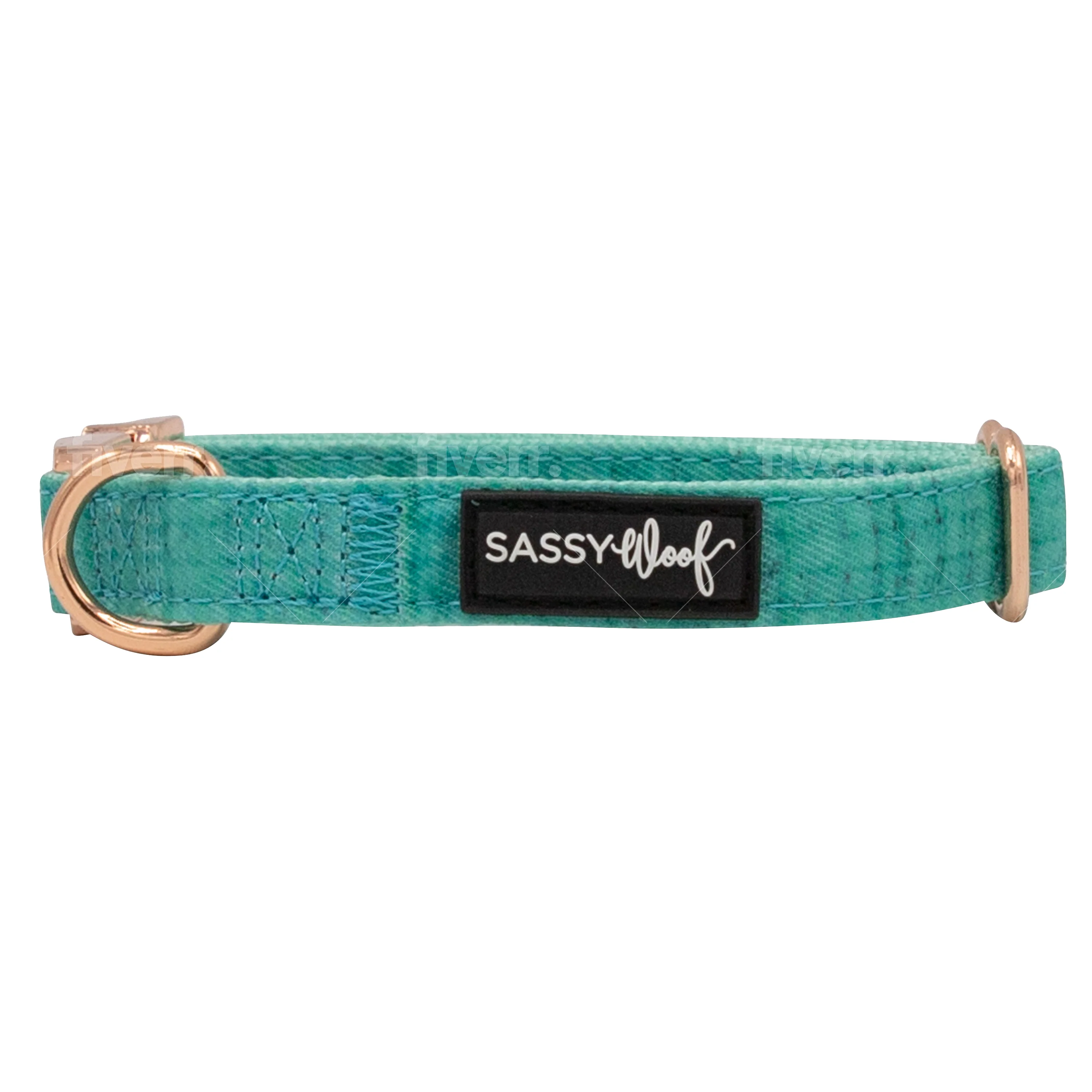 Dog Collar - Wag Your Teal - Image 3