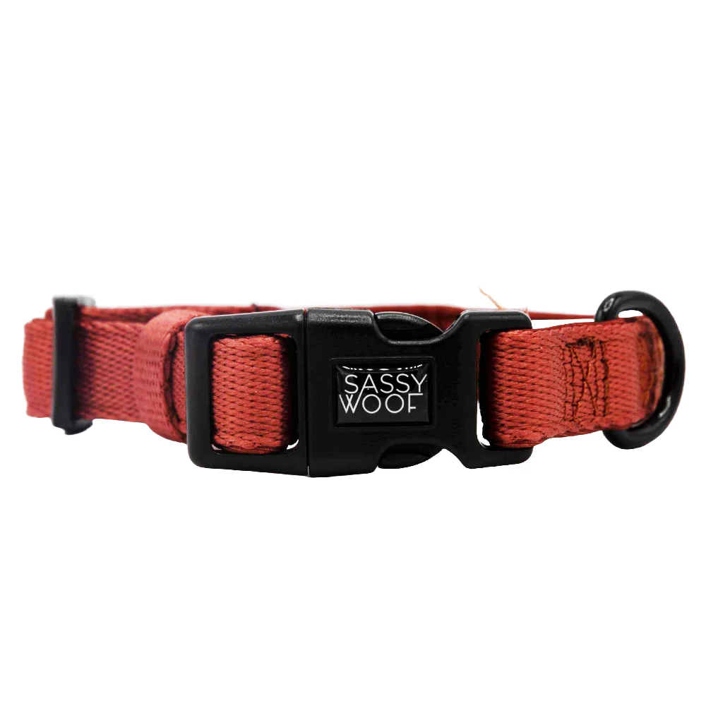 Dog Four Piece Bundle - Burgundy - Image 3