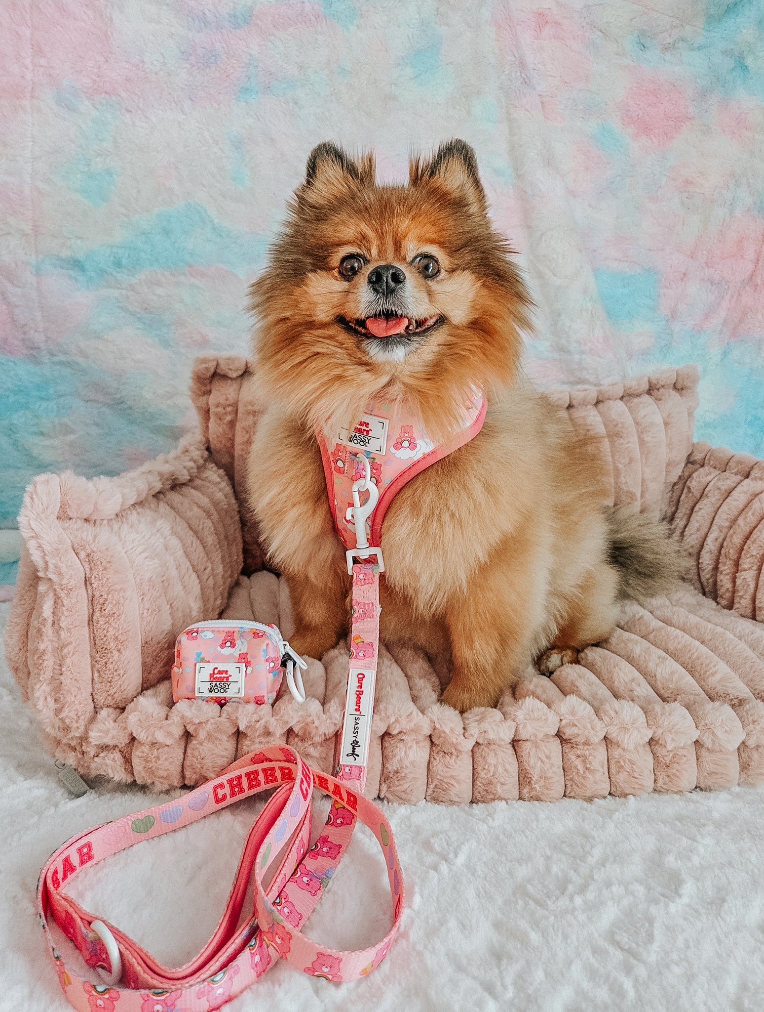 Dog Four Piece Bundle - Care Bears™ Cheer Bear - Image 17