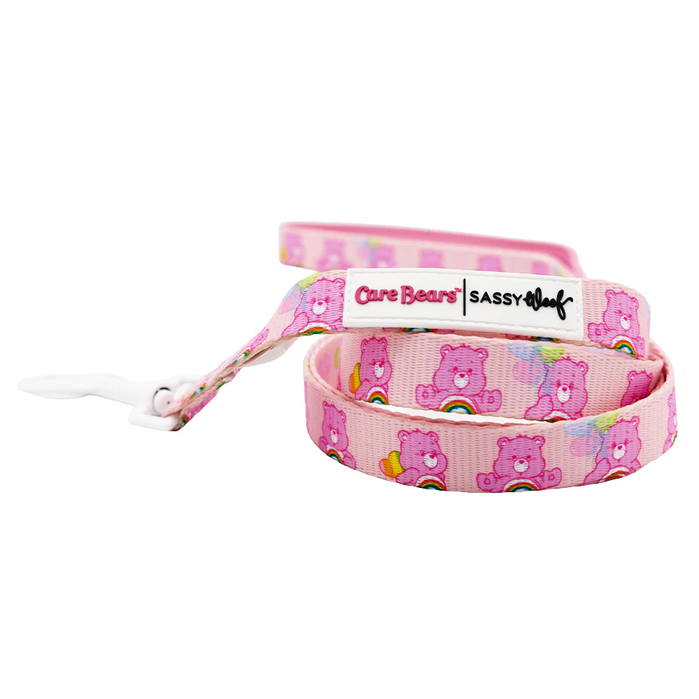 Dog Four Piece Bundle - Care Bears™ Cheer Bear - Image 4