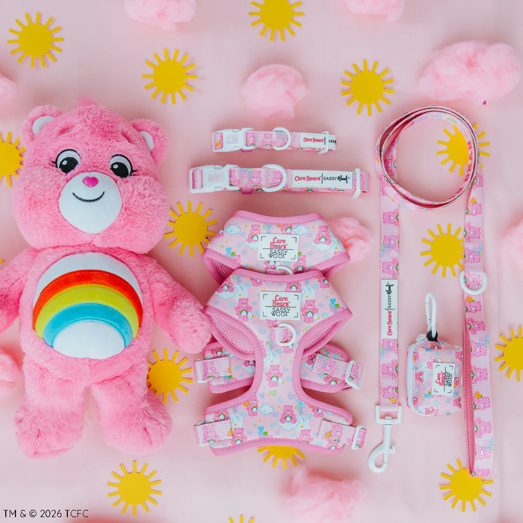 Dog Four Piece Bundle - Care Bears™ Care-a Lot - Image 10