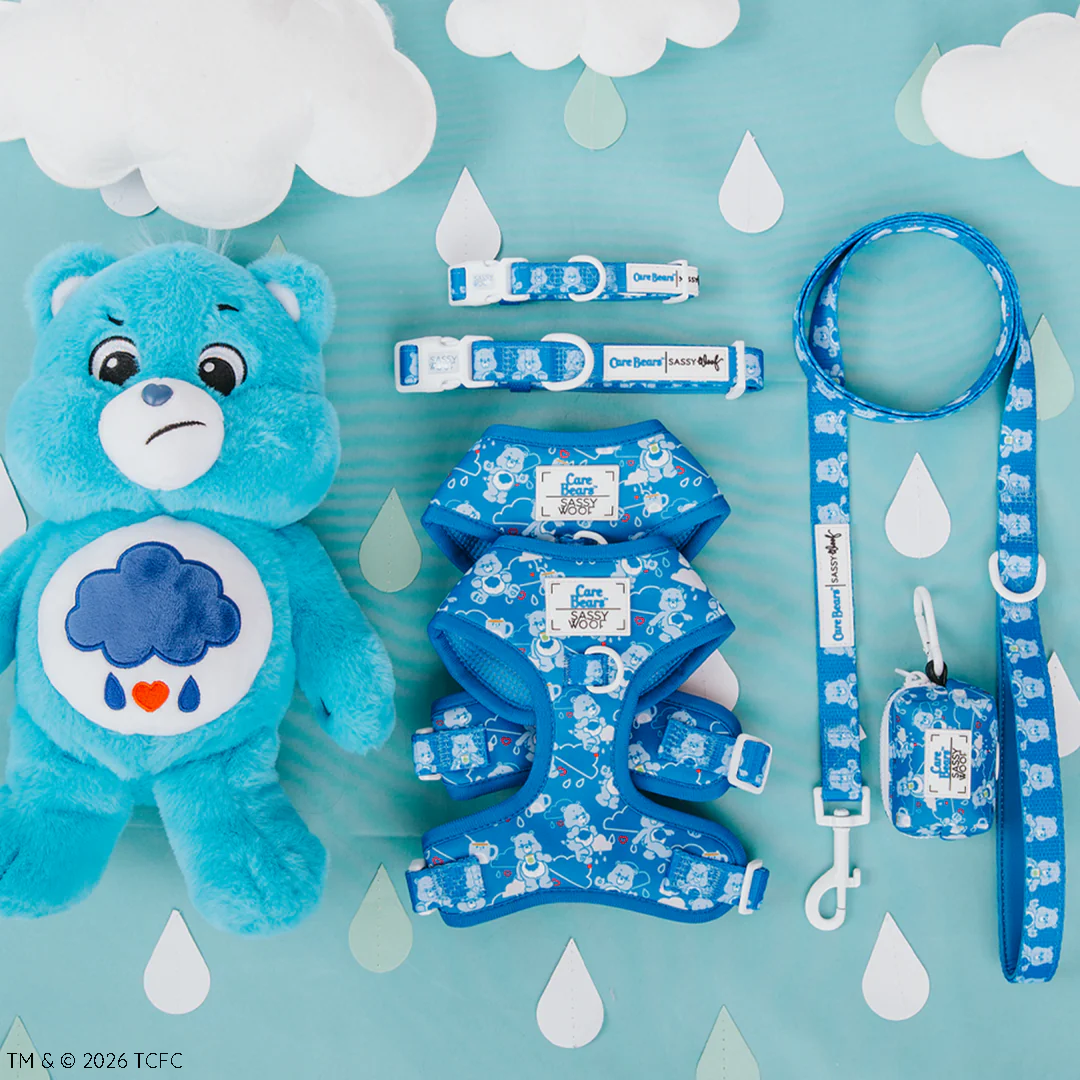 Dog Four Piece Bundle - Care Bears™ Grumpy Bear - Image 10