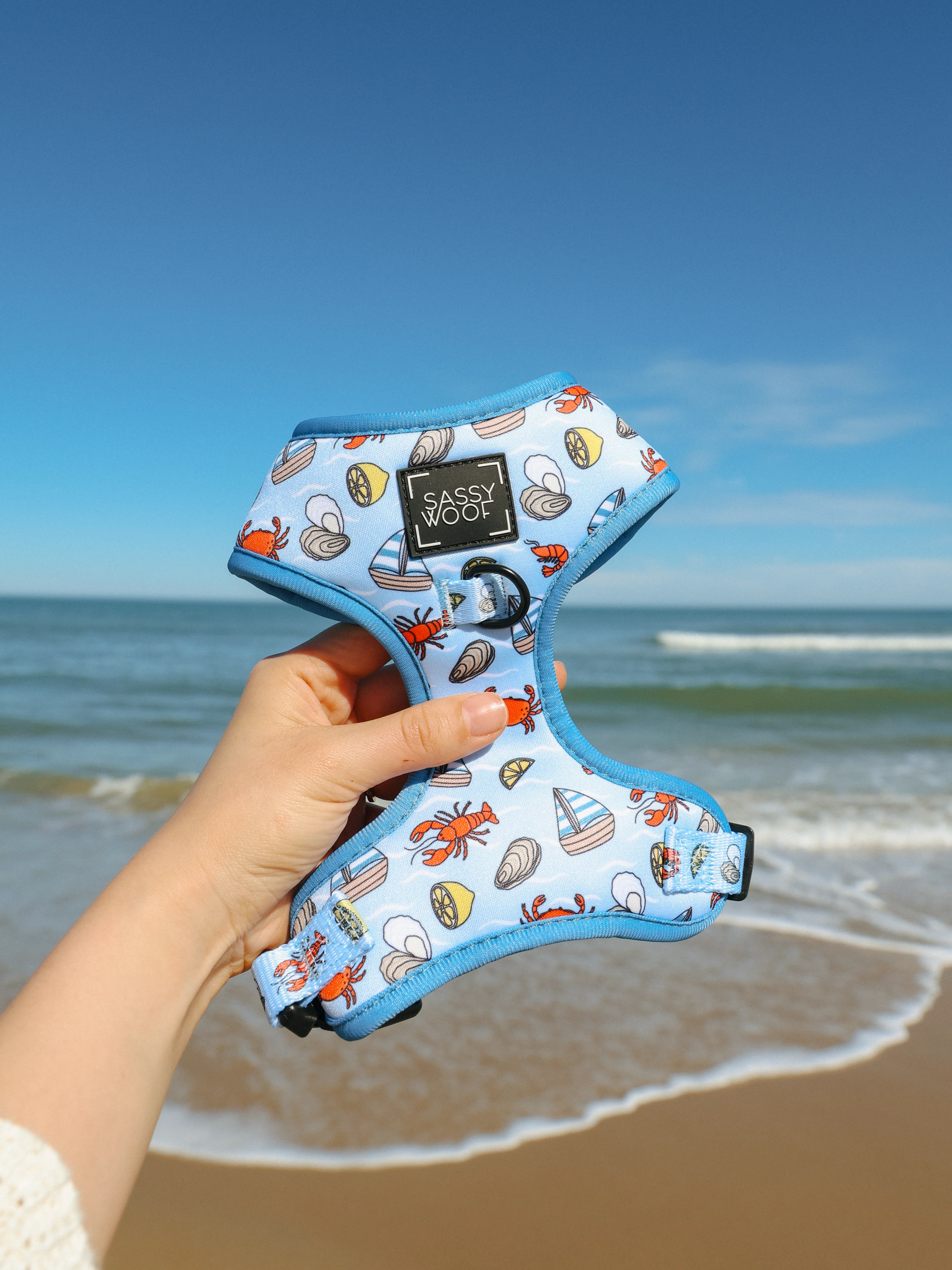 Dog Four Piece Bundle - Coastal Cuties - Image 10
