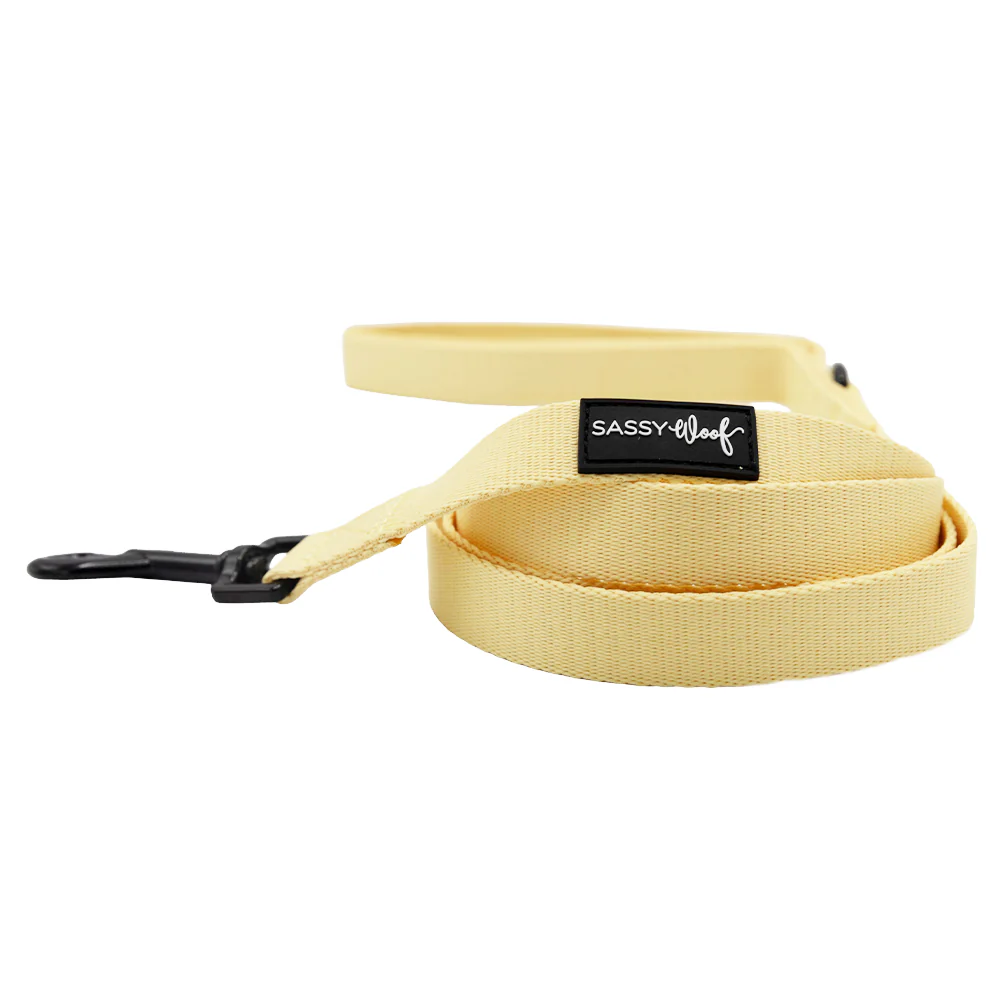 Dog Four Piece Bundle - Daffodil - Image 4