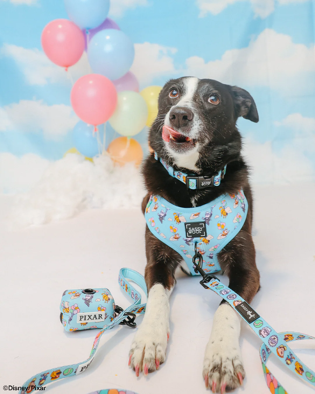 Collar Three Piece Bundle - Disney and Pixar's Up - Image 11