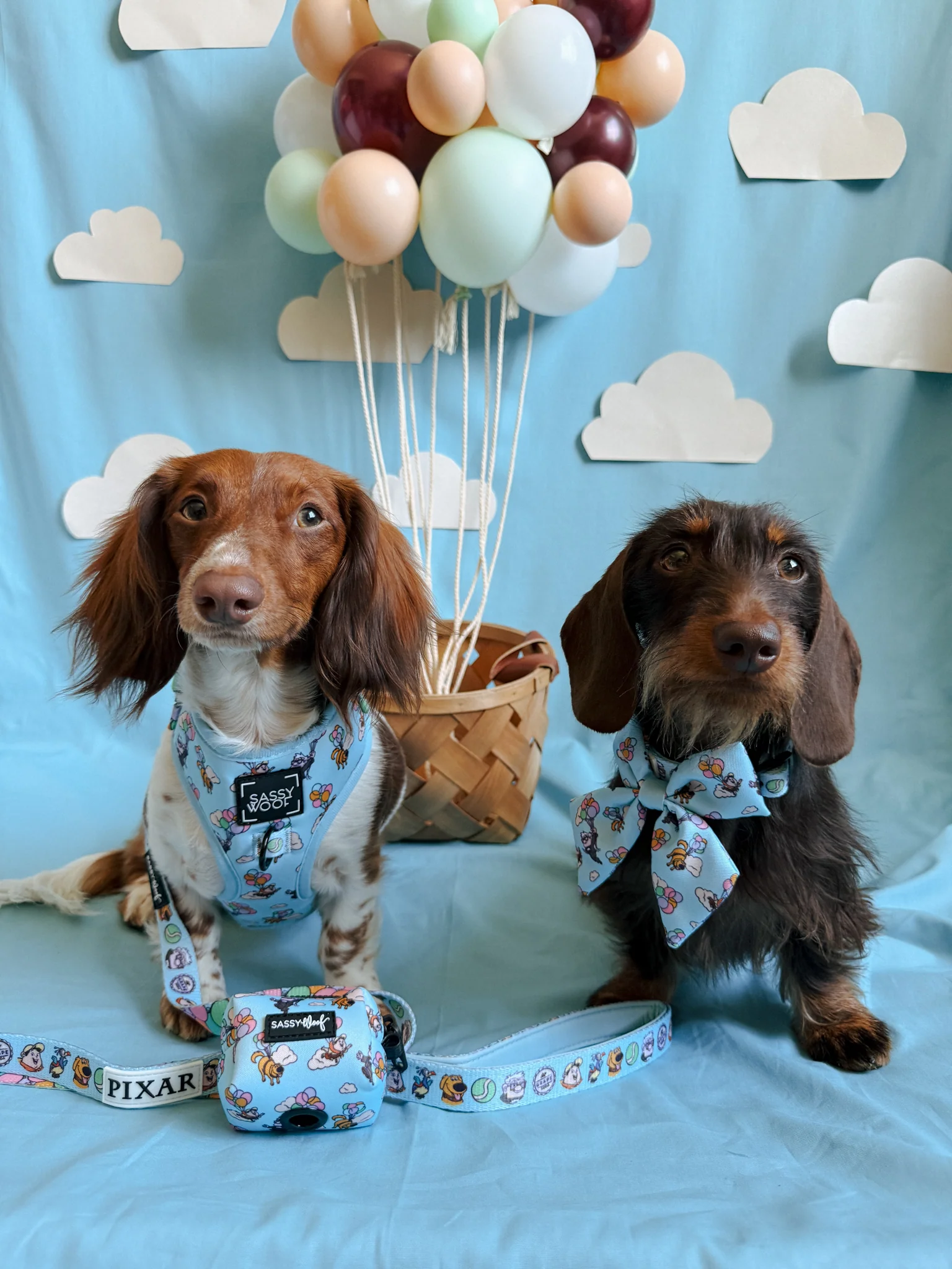 Collar Three Piece Bundle - Disney and Pixar's Up - Image 15