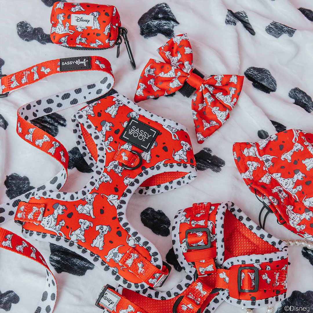 Dog Four Piece Bundle - Disney's 101 Dalmatians - Image 10