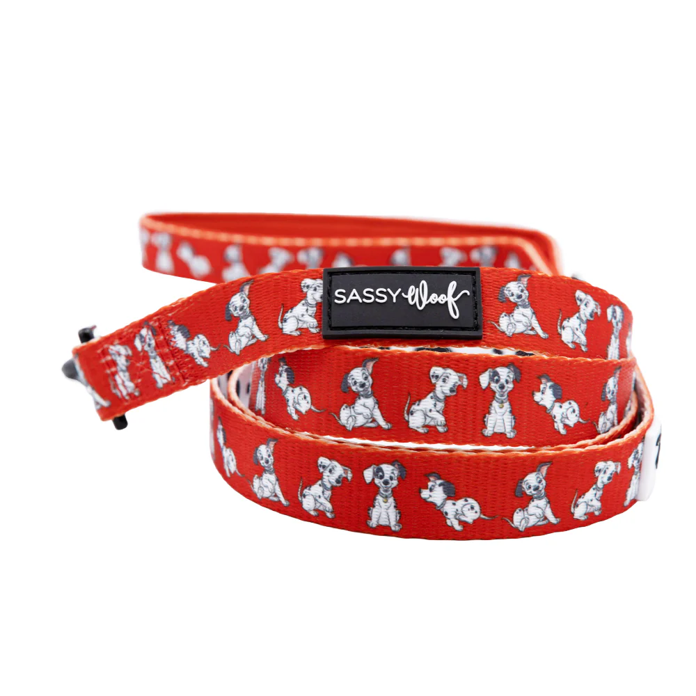 Dog Four Piece Bundle - Disney's 101 Dalmatians - Image 4