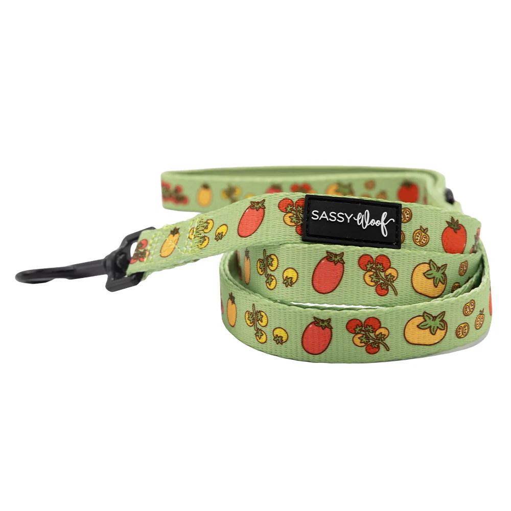 Dog Four Piece Bundle - Feeling Vine - Image 4
