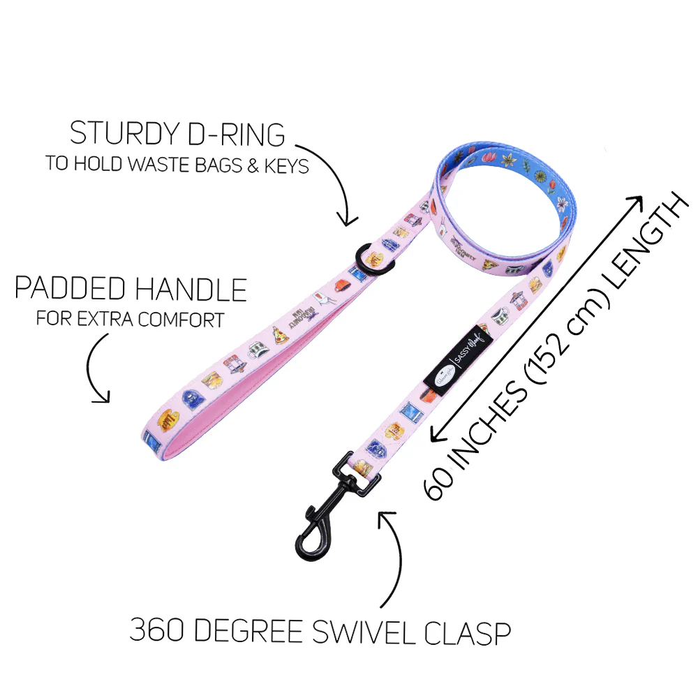 Dog Four Piece Bundle - Gilmore Girls™ - Image 5