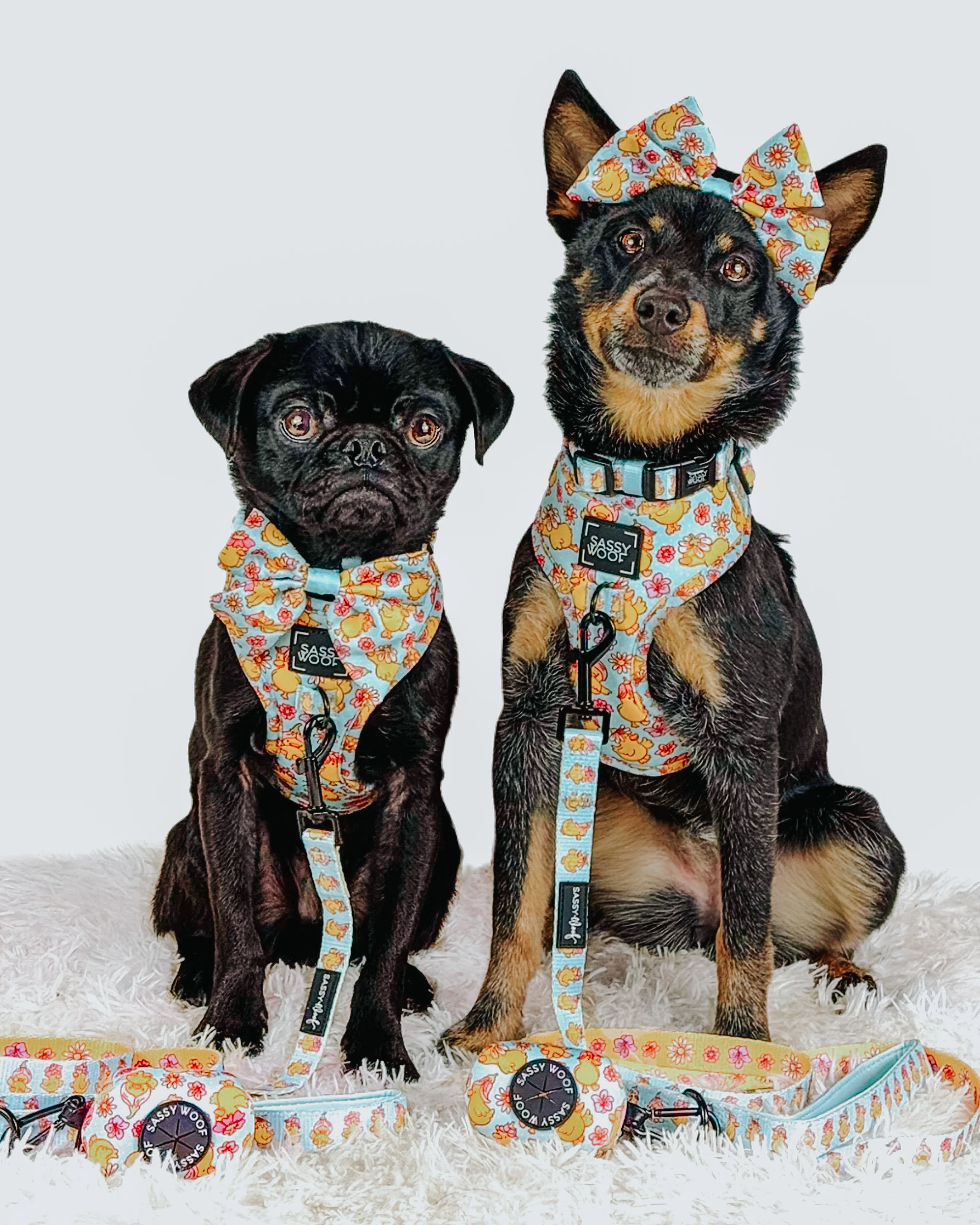 Dog Four Piece Bundle - Good Duck, Babe! - Image 12