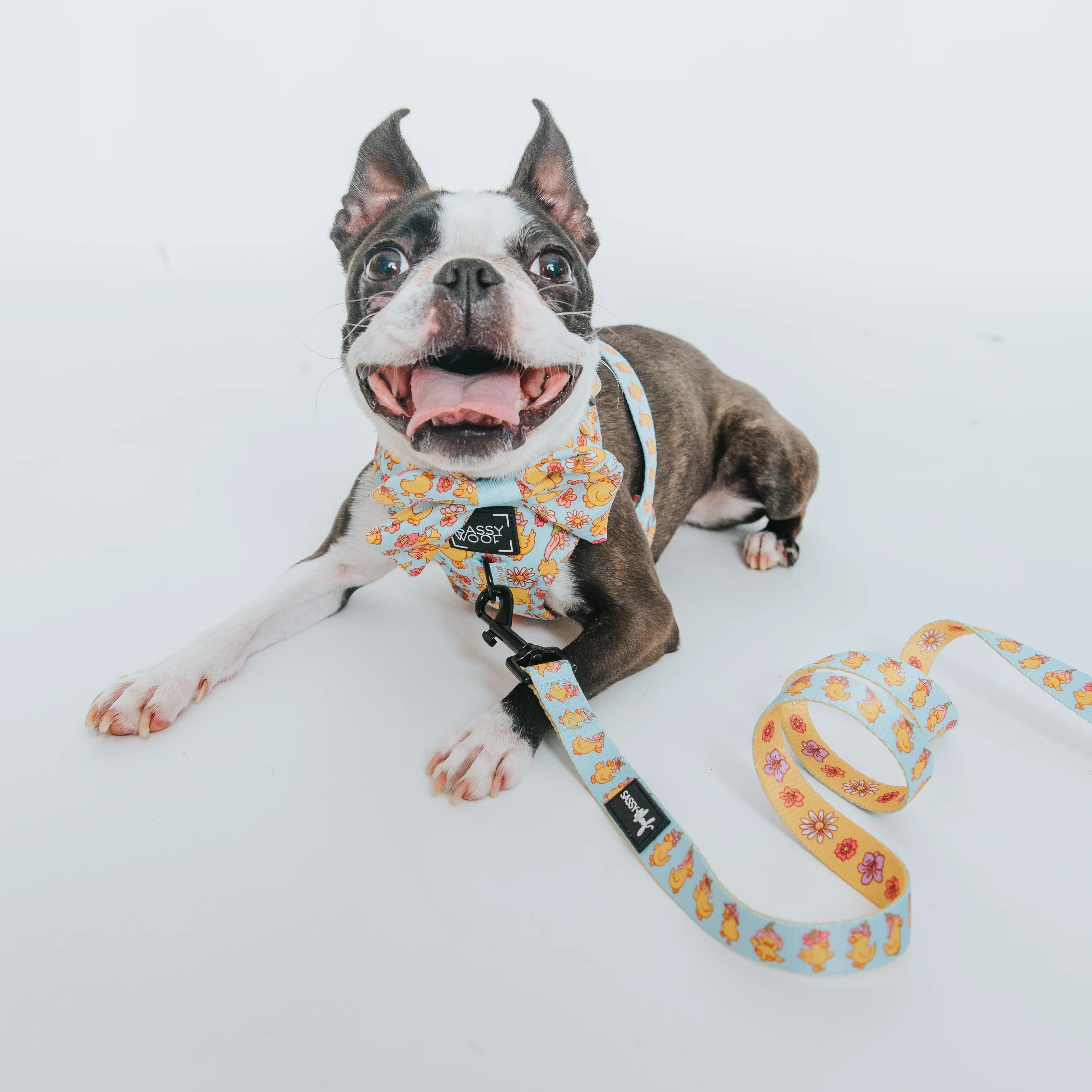 Dog Four Piece Bundle - Good Duck, Babe! - Image 18