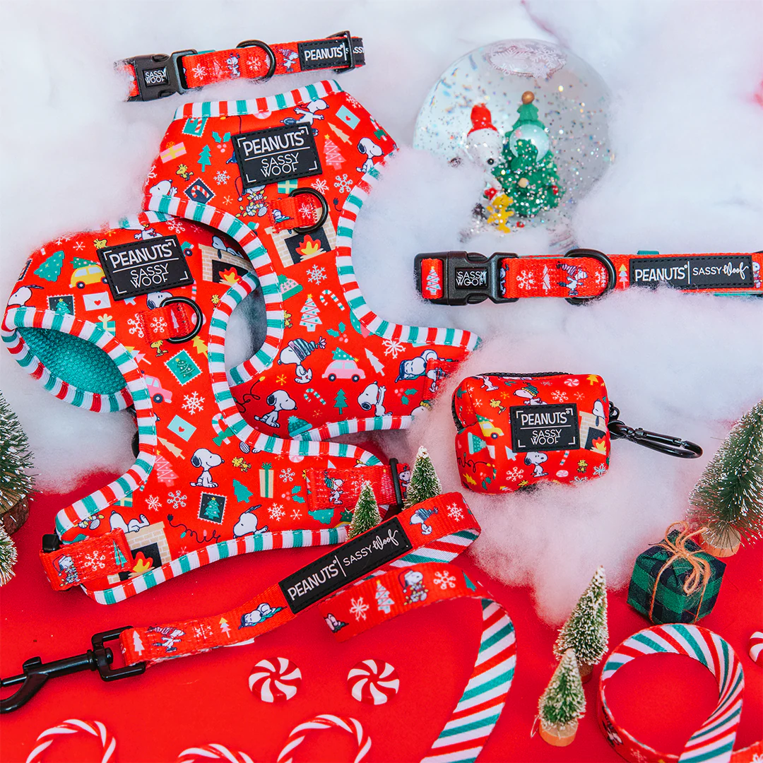 Dog Four Piece Bundle - Peanuts™ Beagle Bells - Image 8
