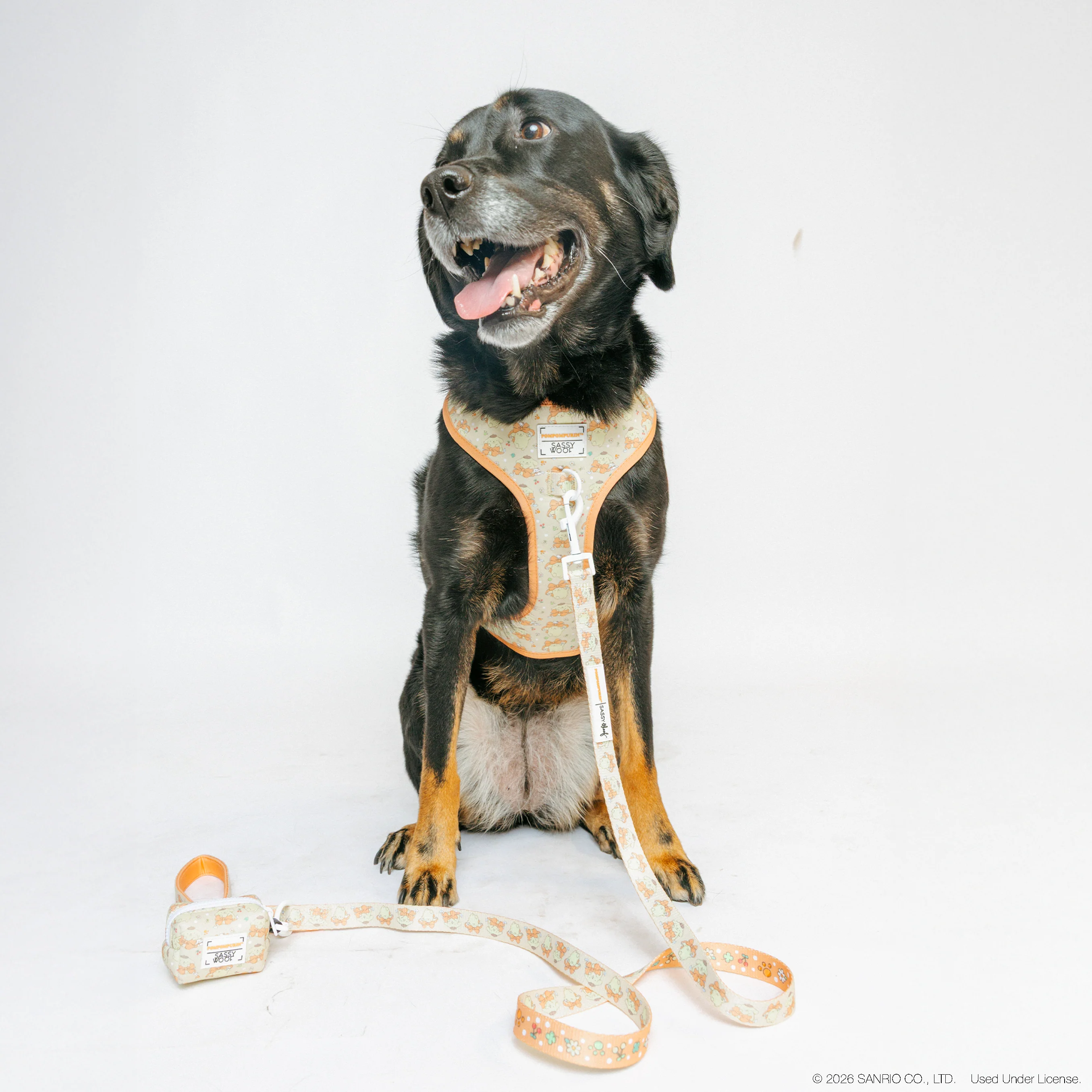 Dog Four Piece Bundle - Pompompurin™ - Image 21