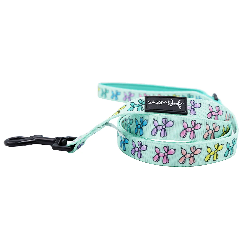 Dog Four Piece Bundle - Pup Pup Hooray - Image 4