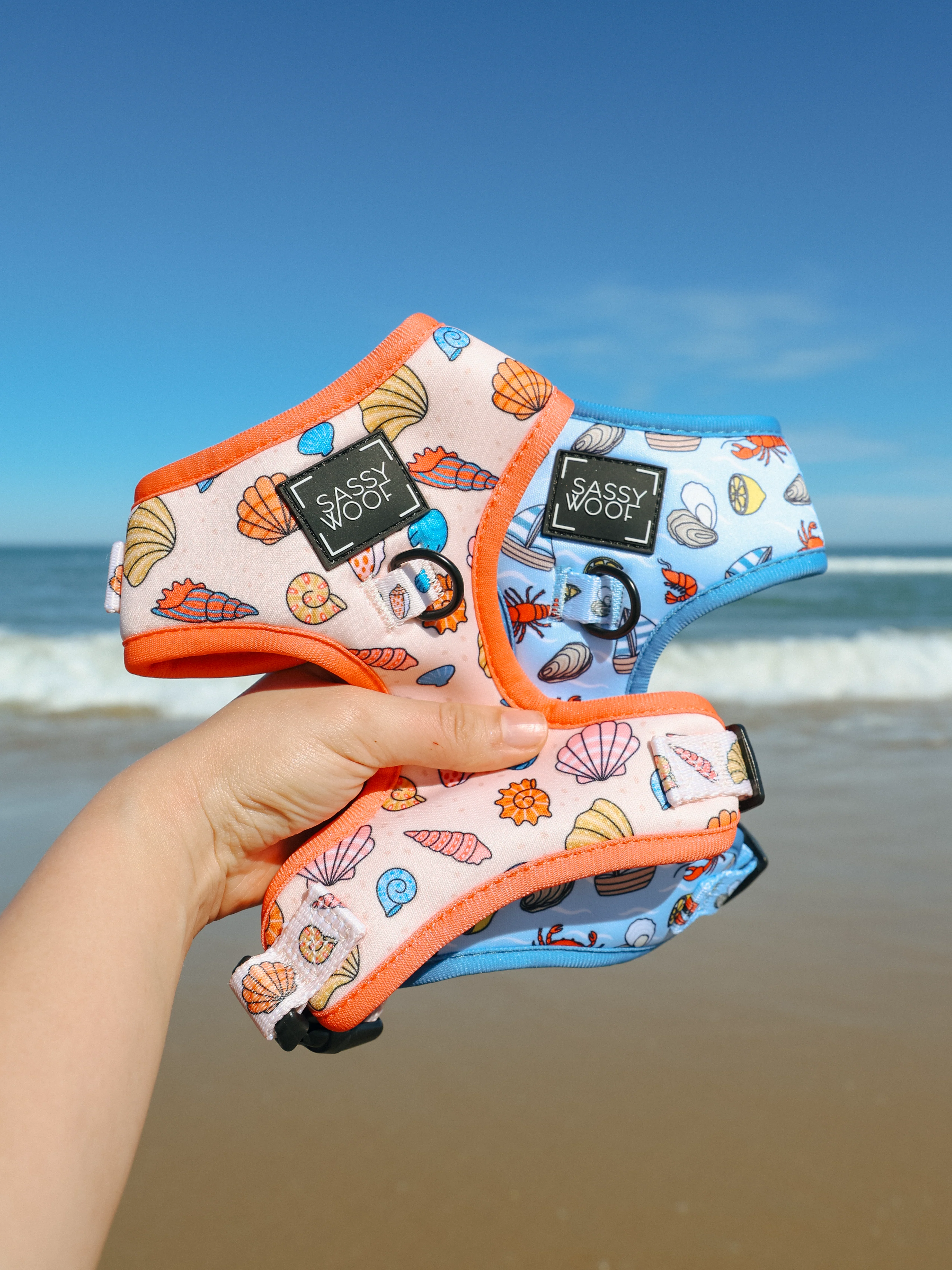 Dog Four Piece Bundle - Shell Yeah - Image 10