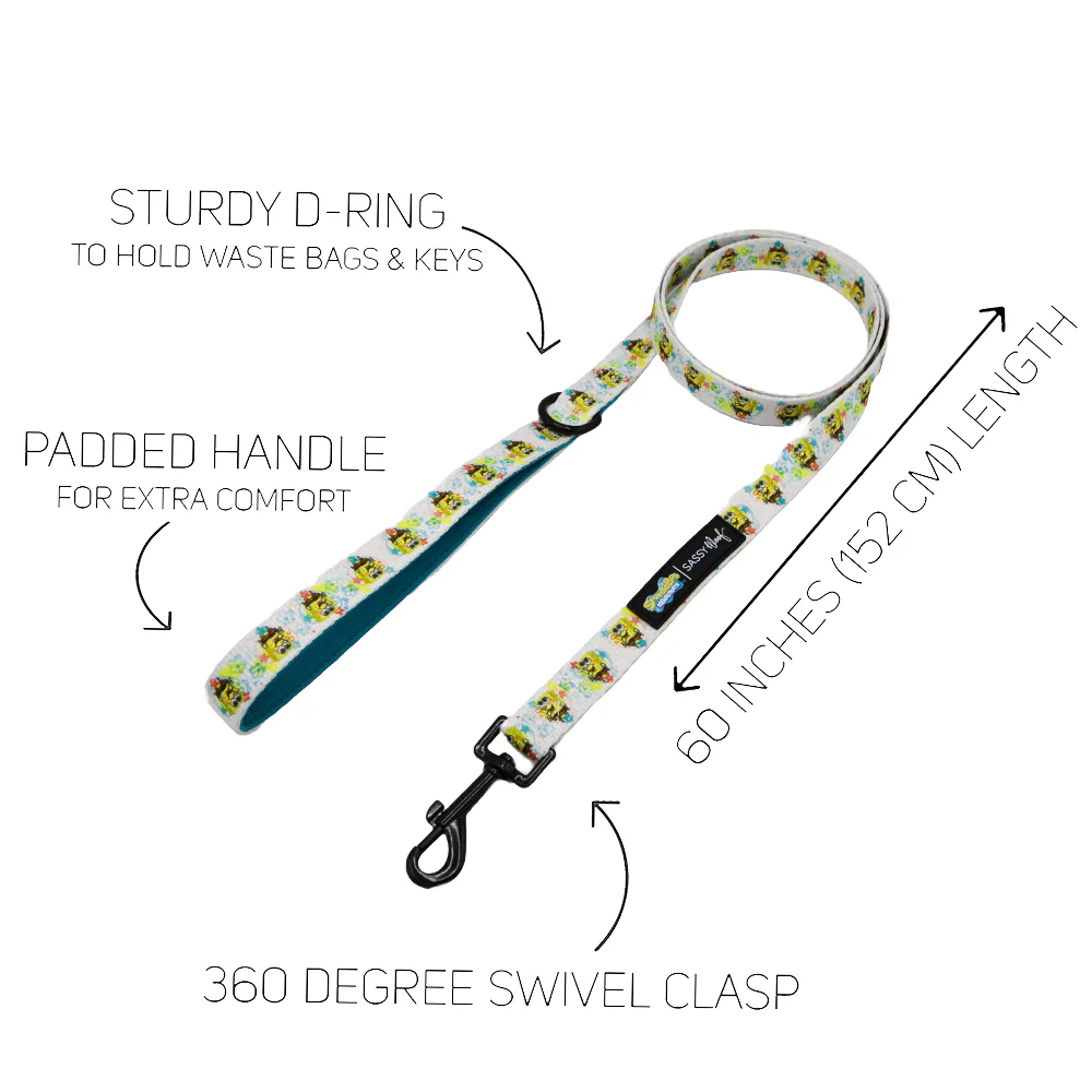 Dog Four Piece Bundle - SpongeBob SquarePants™ Bikini Bottom - Image 5