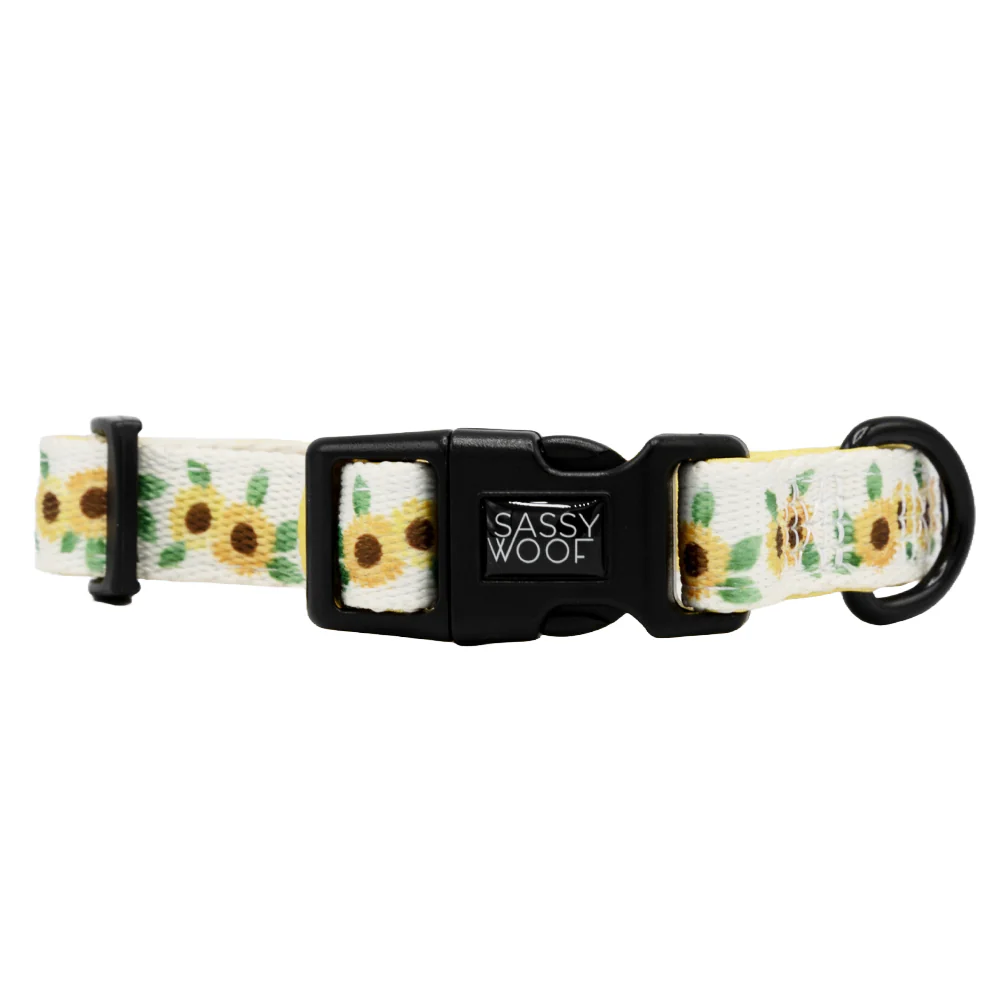 Dog Four Piece Bundle - Sunflower Dreams - Image 3