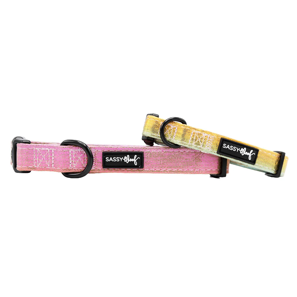 Dog Four Piece Bundle - The Night Life - Image 3