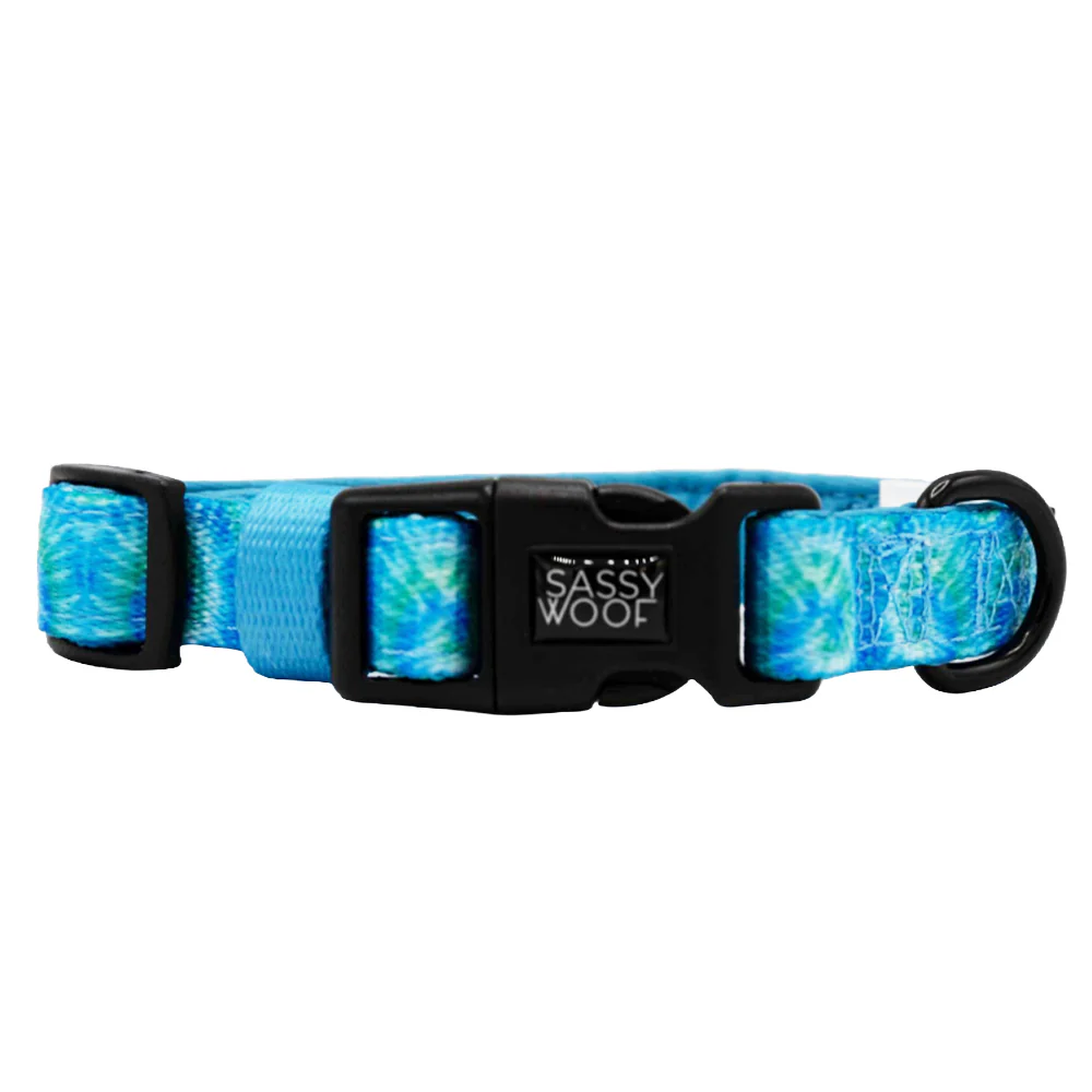 Dog Four Piece Bundle - Tropical Tides - Image 3