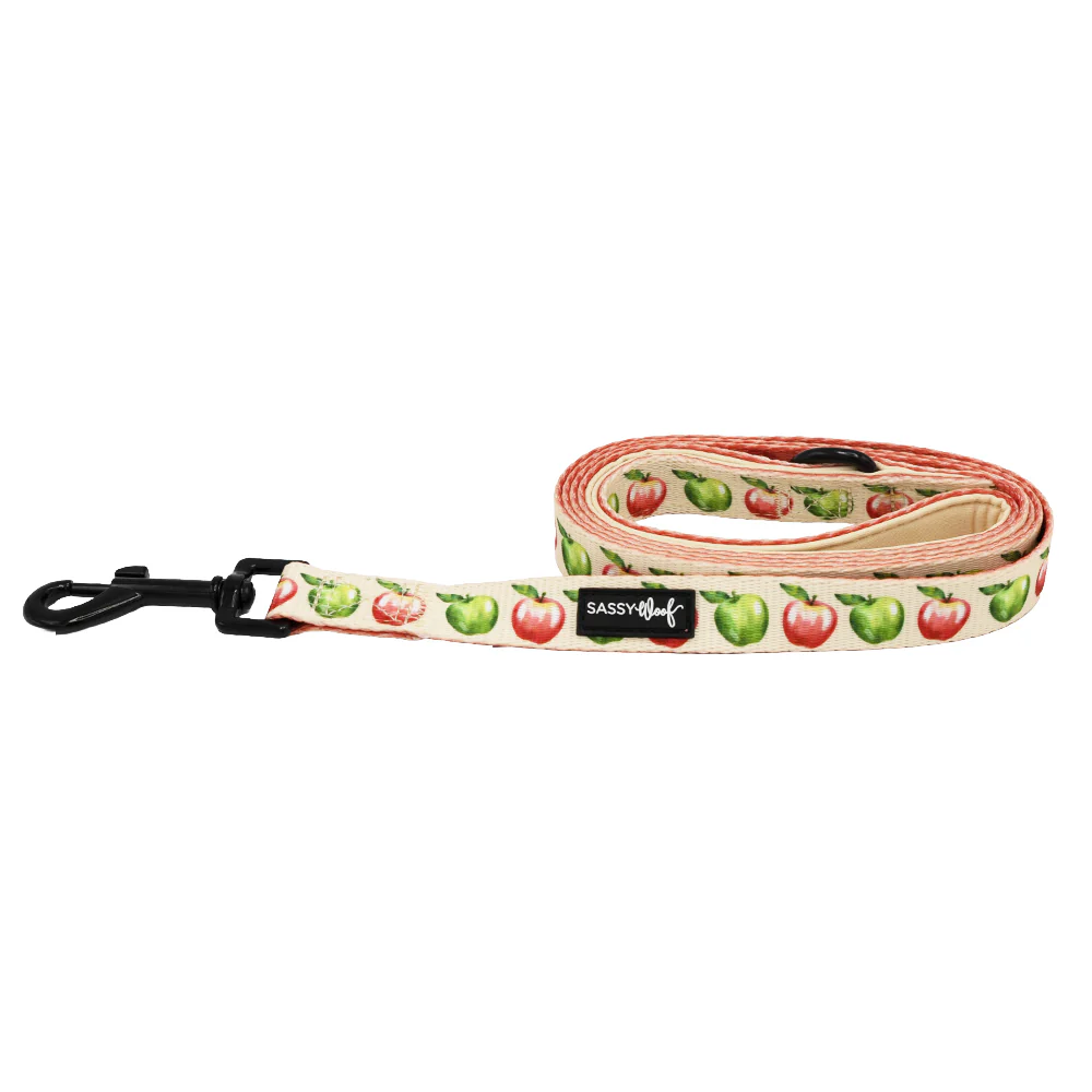 Dog Leash - Apple of My Eye - Image 2