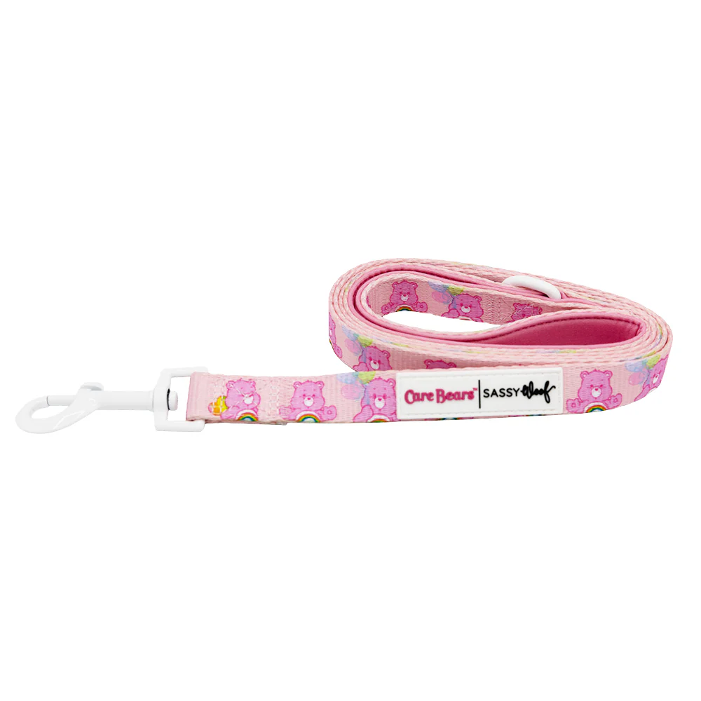 Dog Leash - Care Bears™ Cheer Bear - Image 2