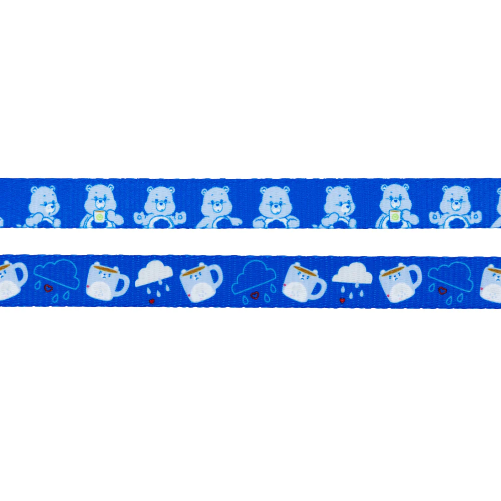 Dog Leash - Care Bears™ Grumpy Bear - Image 4
