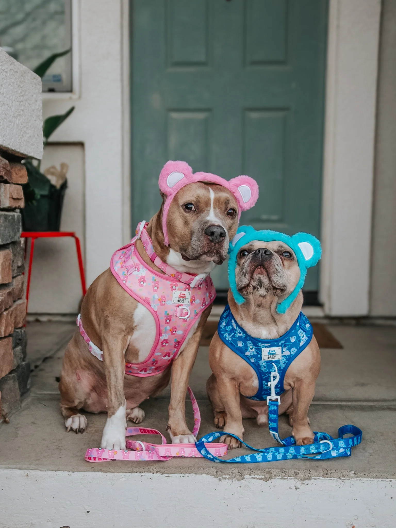 Dog Leash - Care Bears™ Grumpy Bear - Image 9
