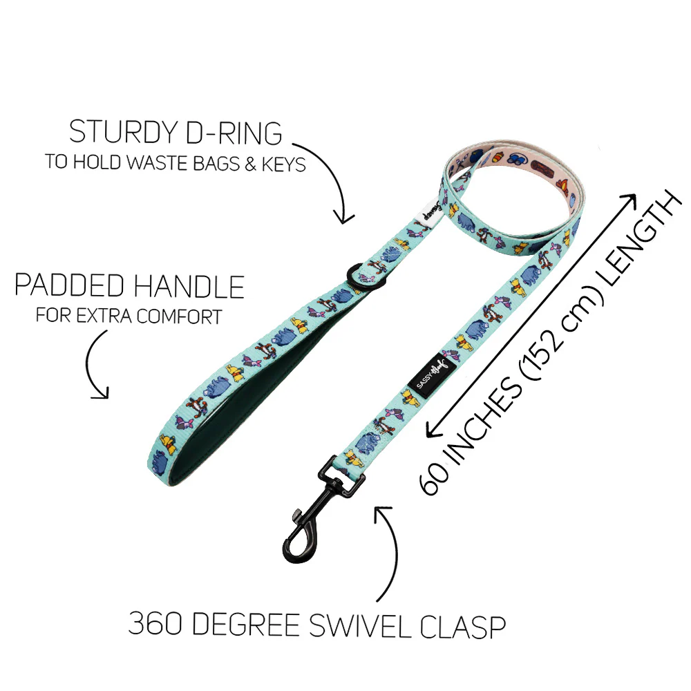 Dog Leash - Disney's Winnie the Pooh - Image 3