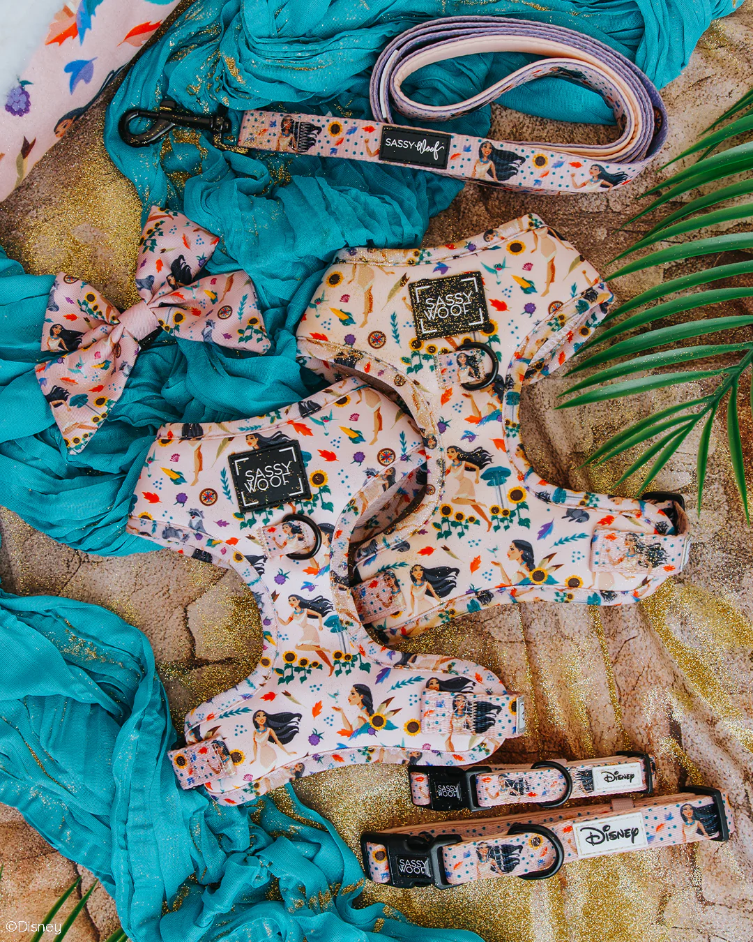 Dog Leash - Disney's Pocahontas - Image 5