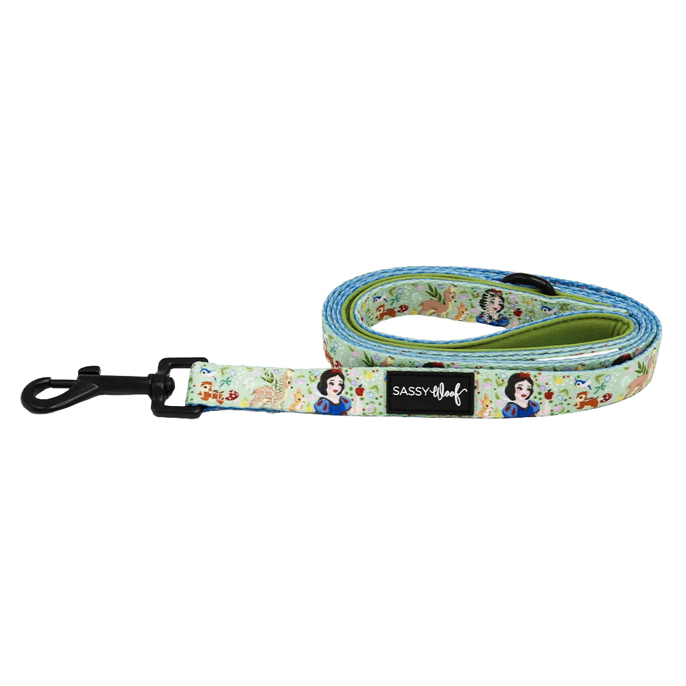 Dog Leash - Disney's Snow White - Image 2