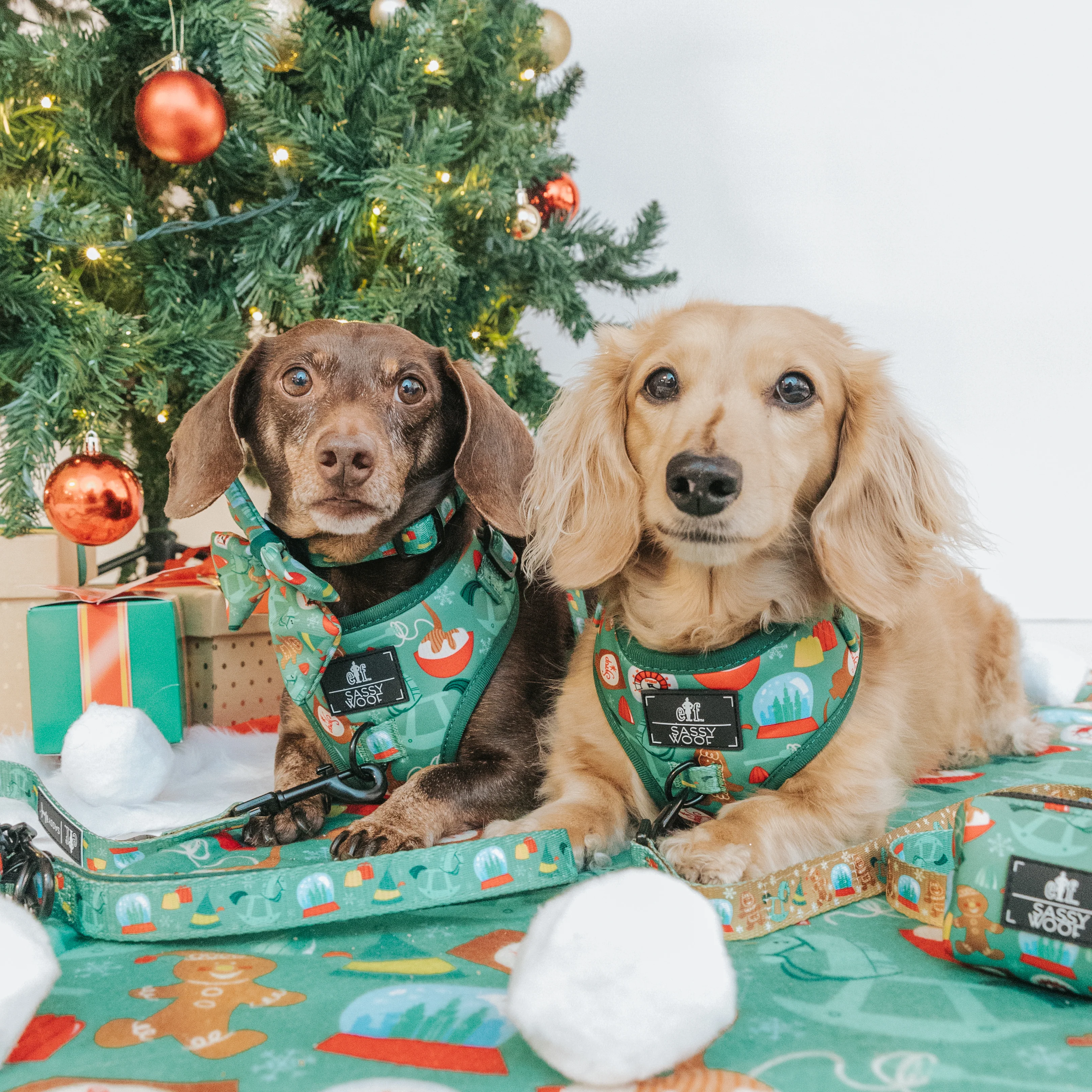 Dog Leash - Elf™ - Image 5