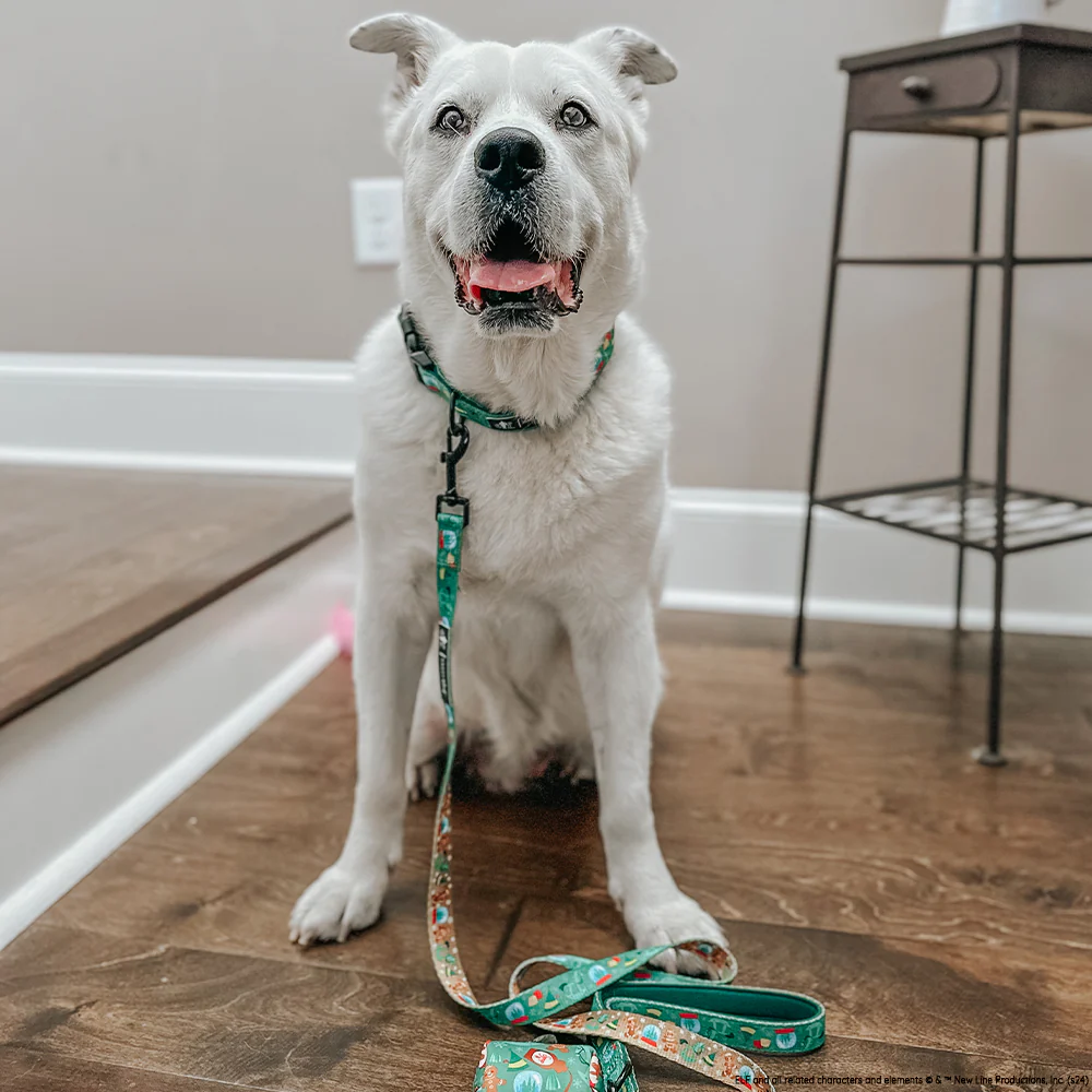 Dog Leash - Elf™ - Image 8
