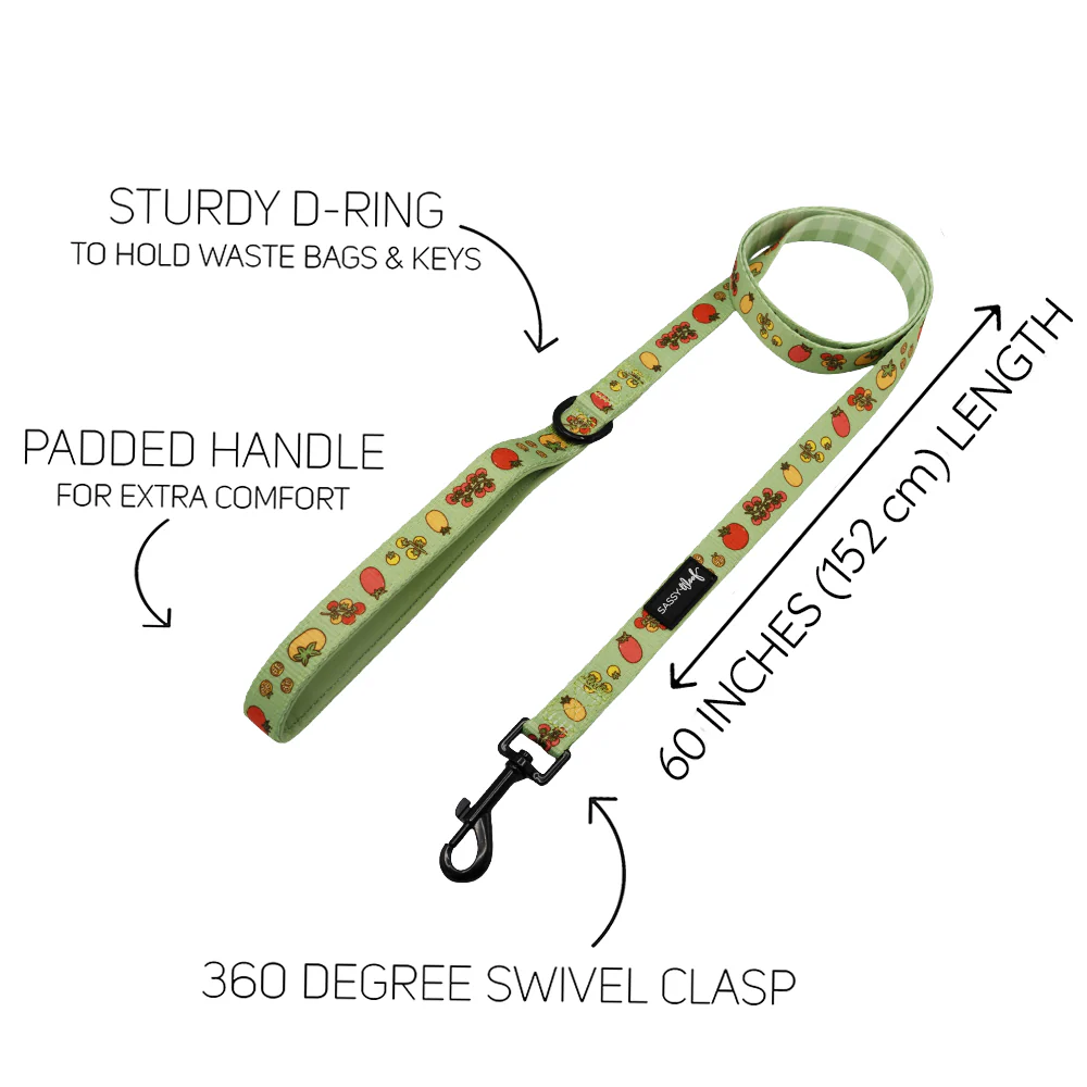 Dog Leash - Feeling Vine - Image 3
