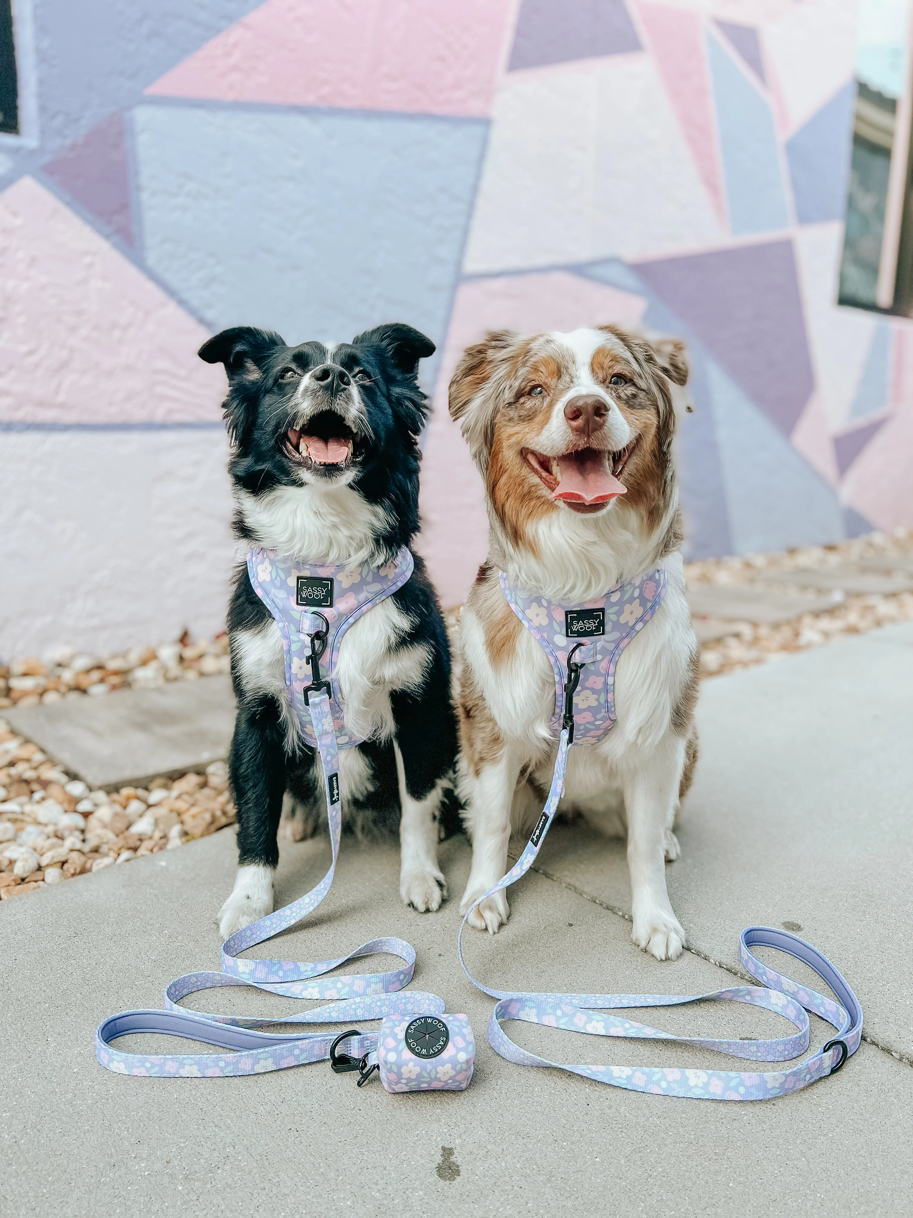 Dog Leash - Fleur de Sass - Image 10