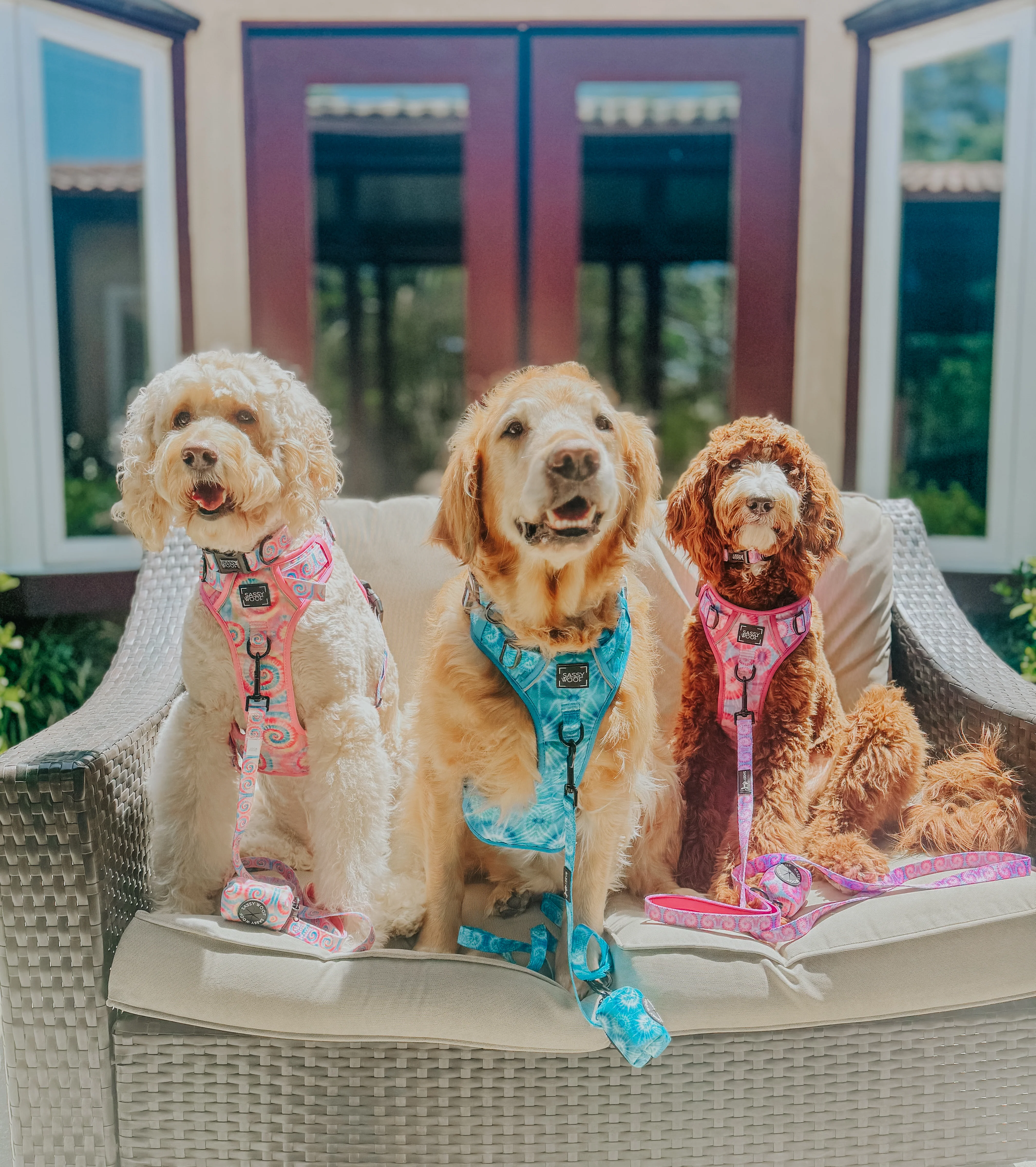 Dog Leash - Good Vibes - Image 7