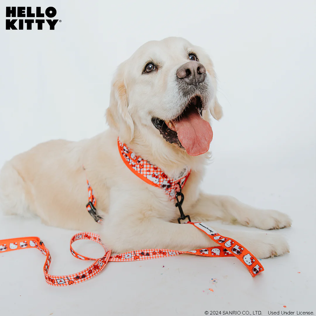 Dog Leash - Hello Kitty® Red Classic - Image 5
