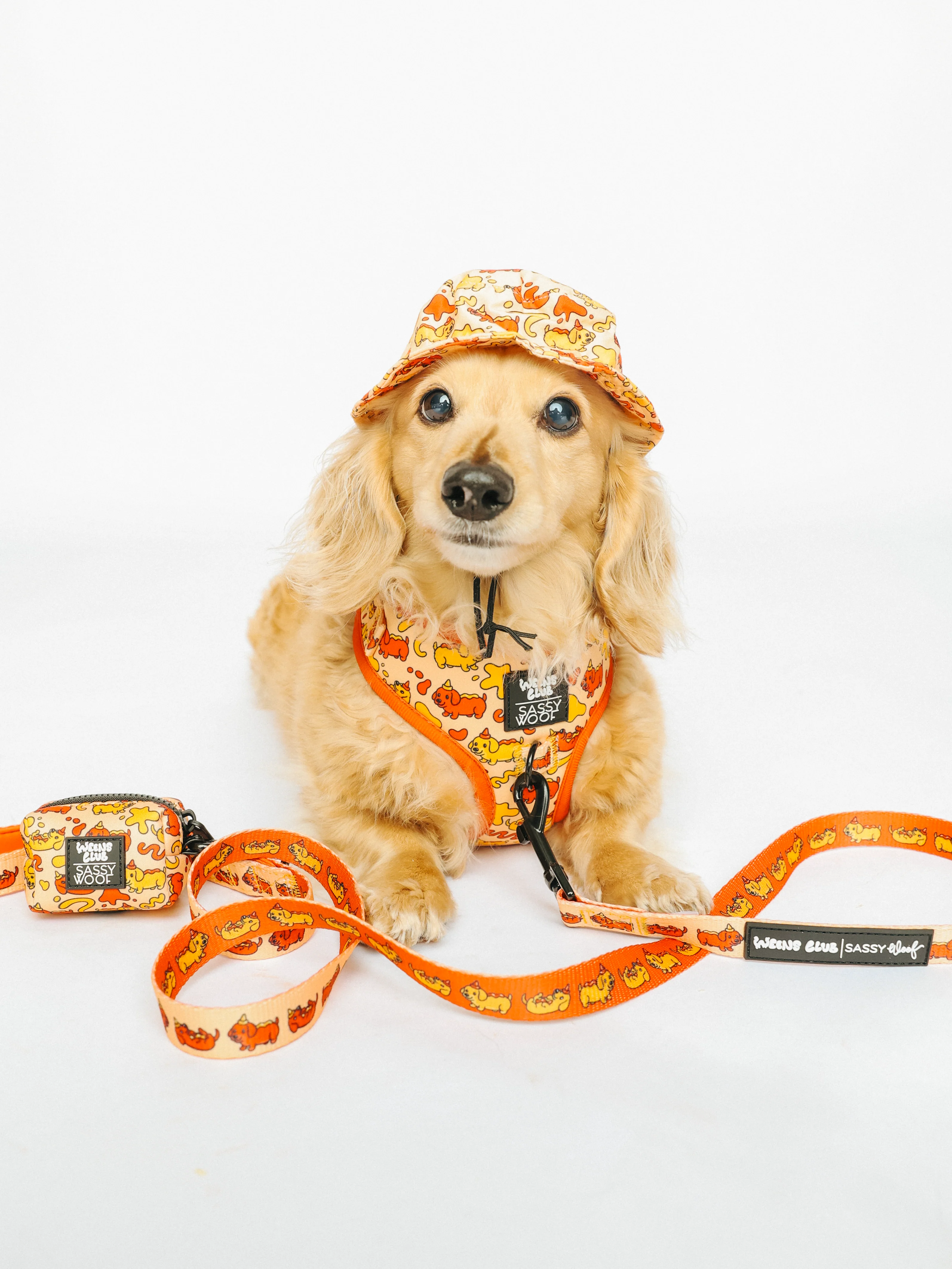 Dog Leash - Hot Dawg - Image 6
