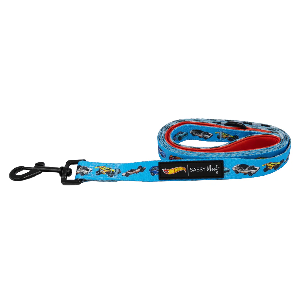 Dog Leash - Hot Wheels™ - Image 2