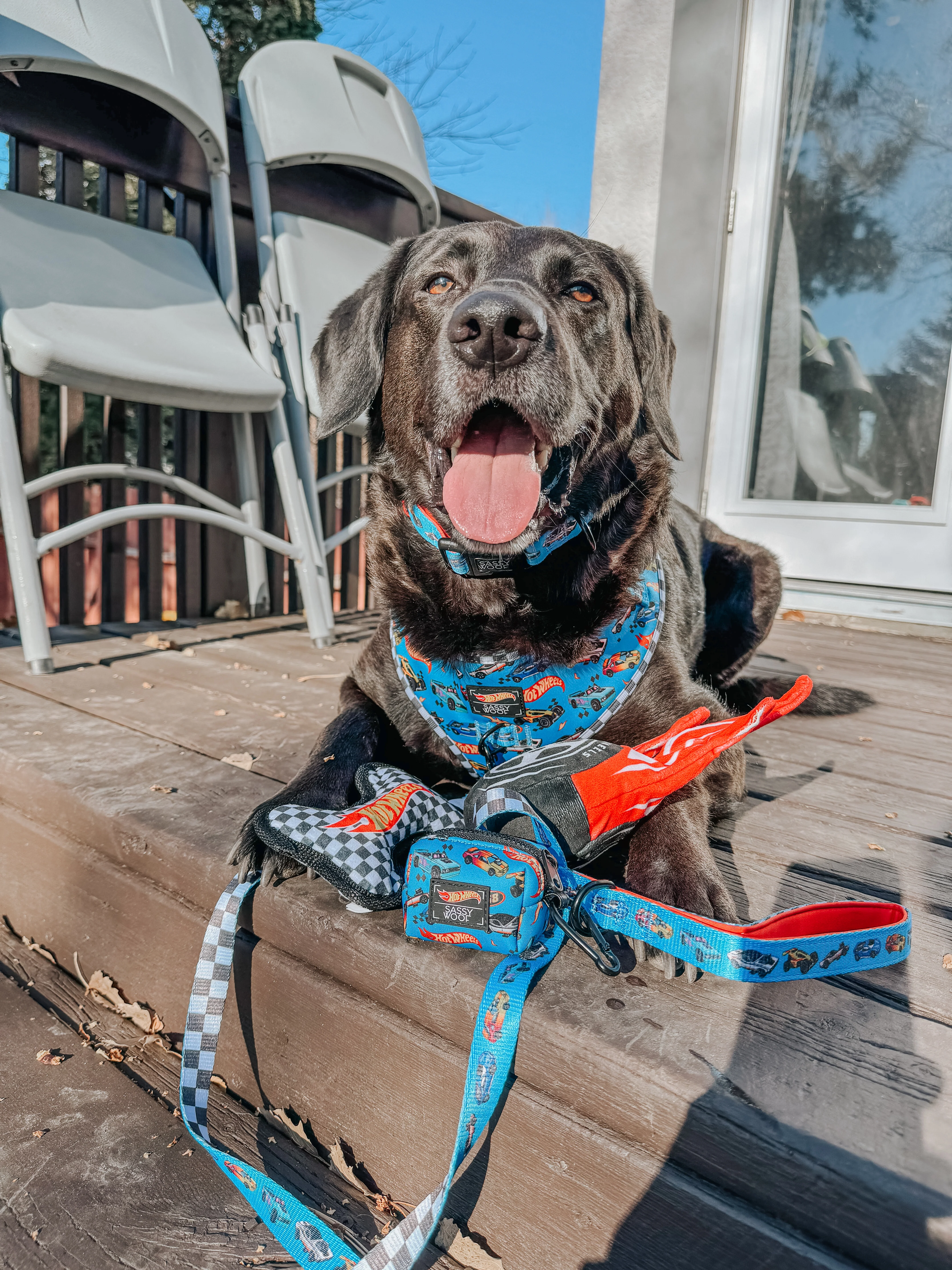 Dog Leash - Hot Wheels™ - Image 9