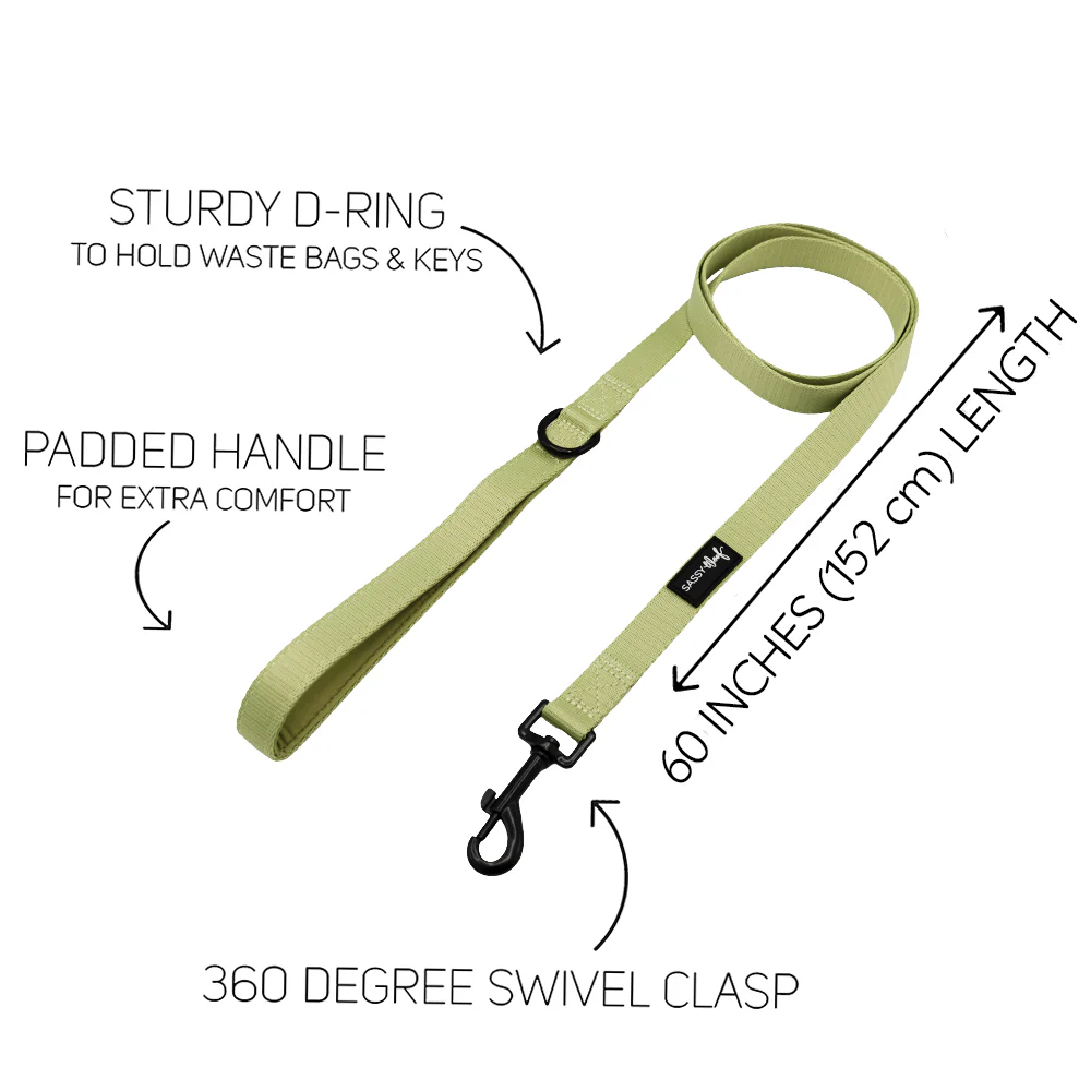 Dog Leash - Matcha - Image 3
