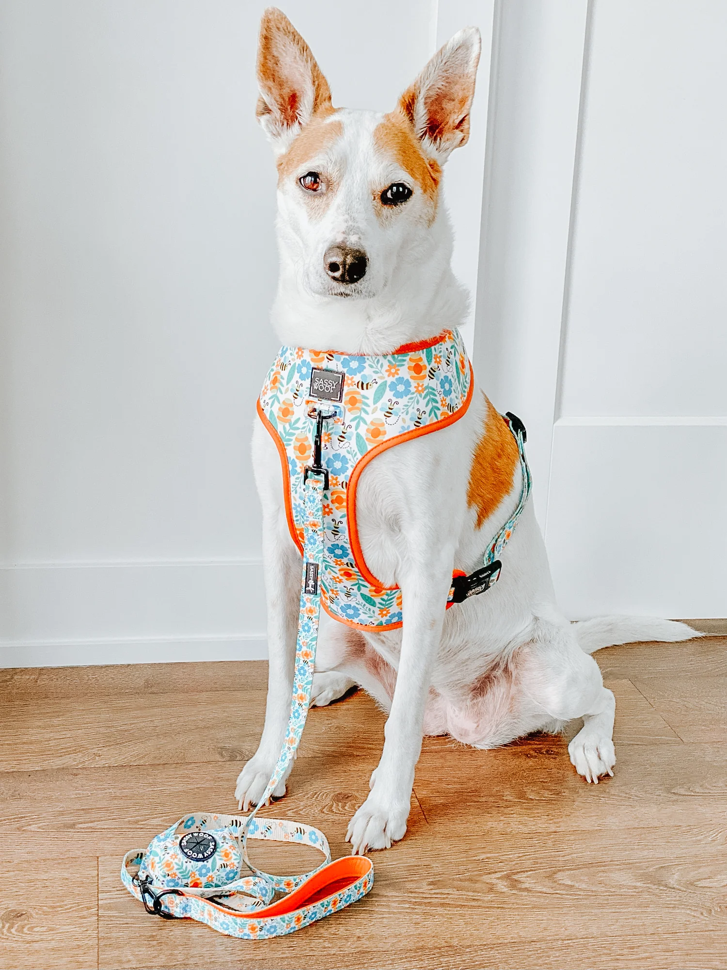 Dog Leash - Must Be the Honey - Image 12