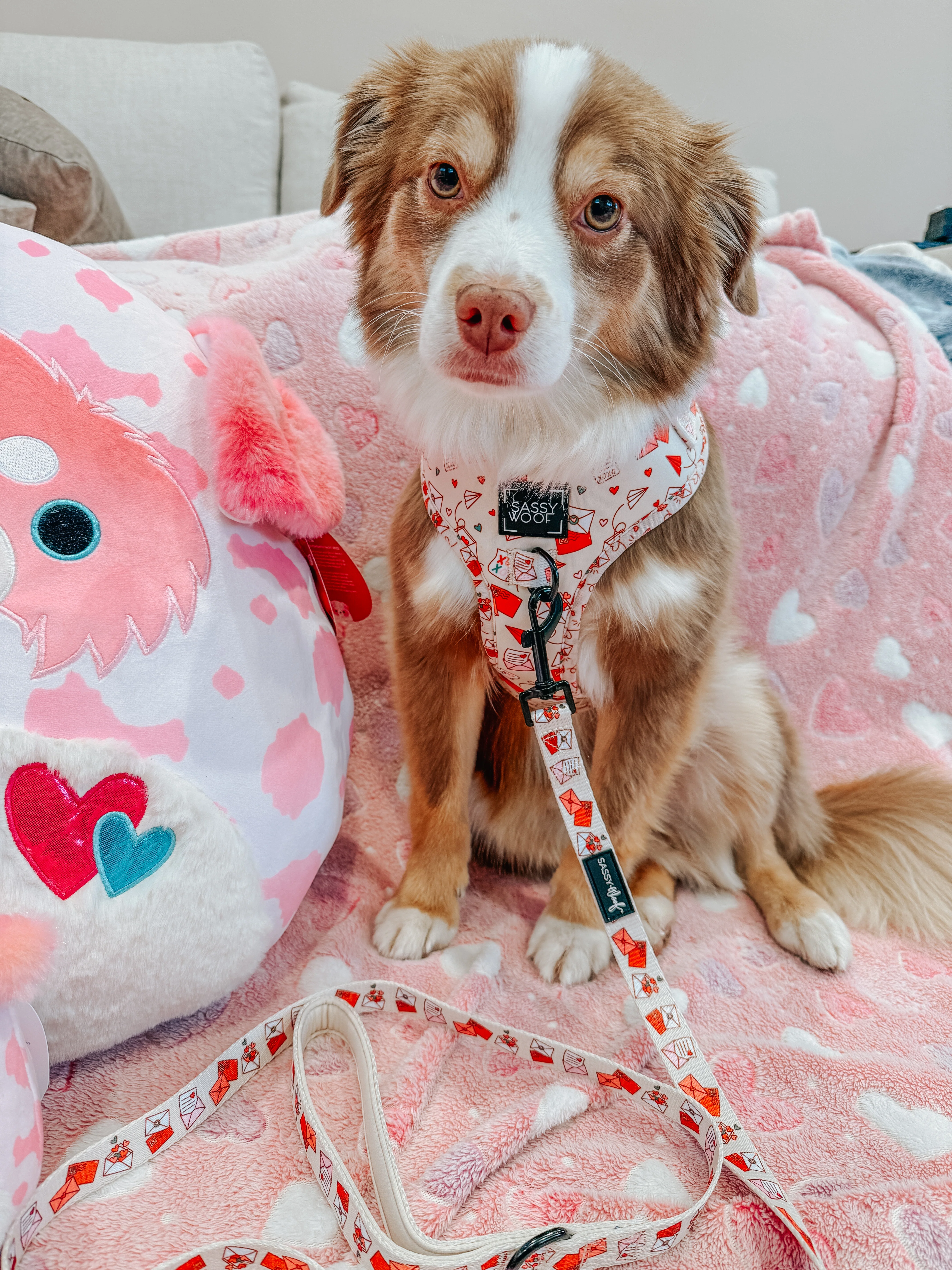 Dog Leash - P.S. I Woof You - Image 5