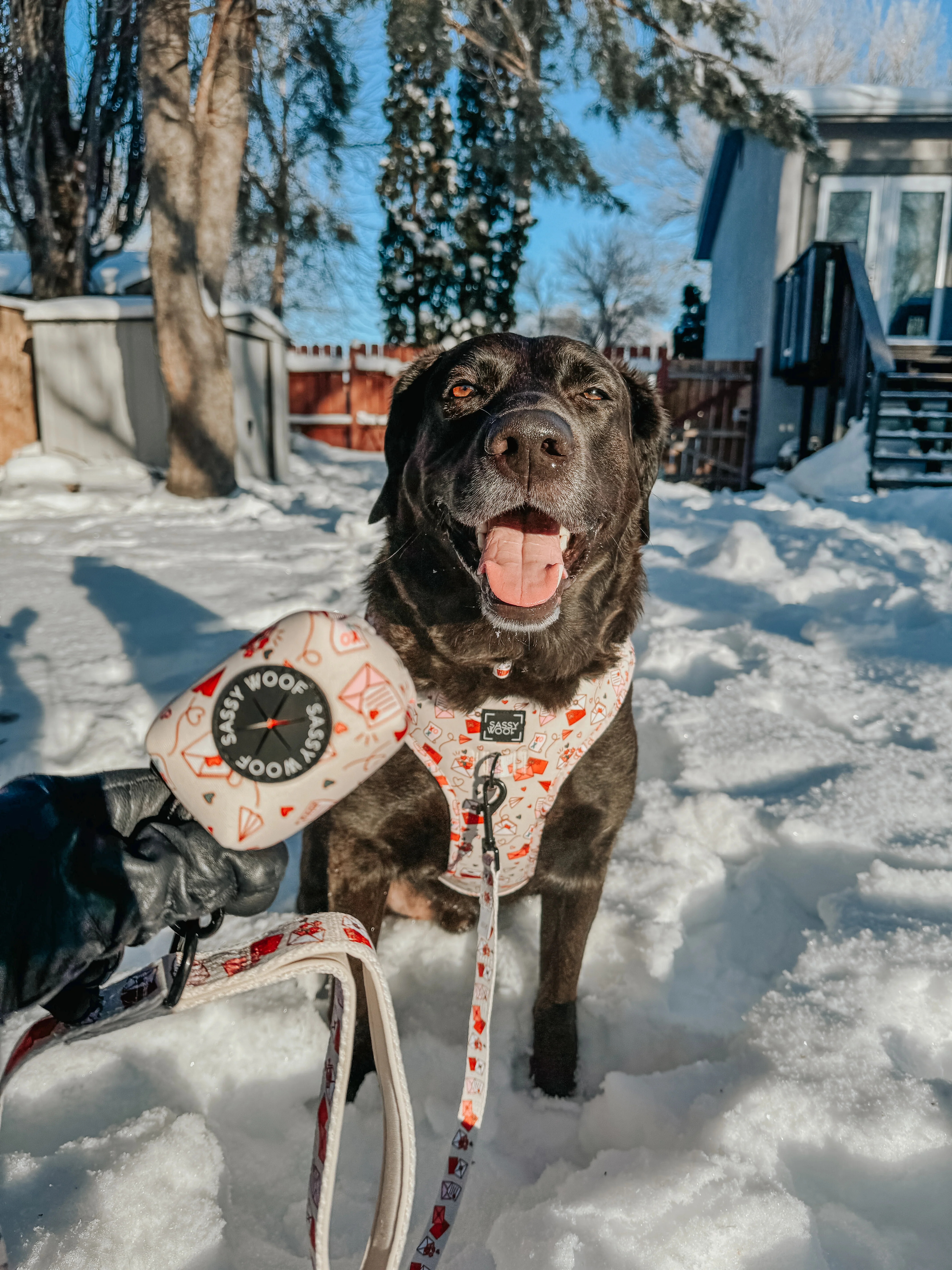 Dog Leash - P.S. I Woof You - Image 6