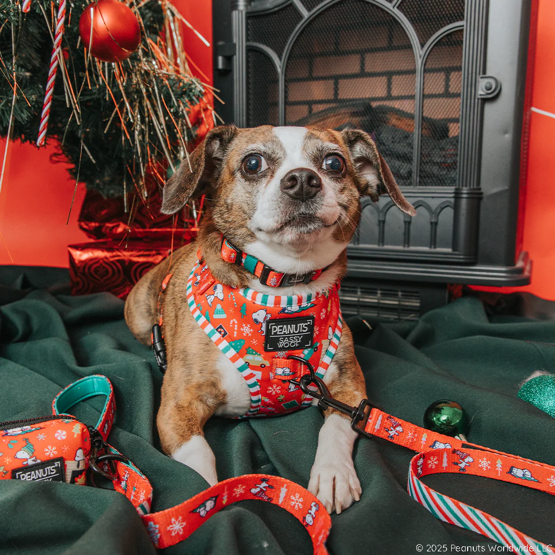 Dog Leash - Peanuts™ Beagle Bells - Image 6
