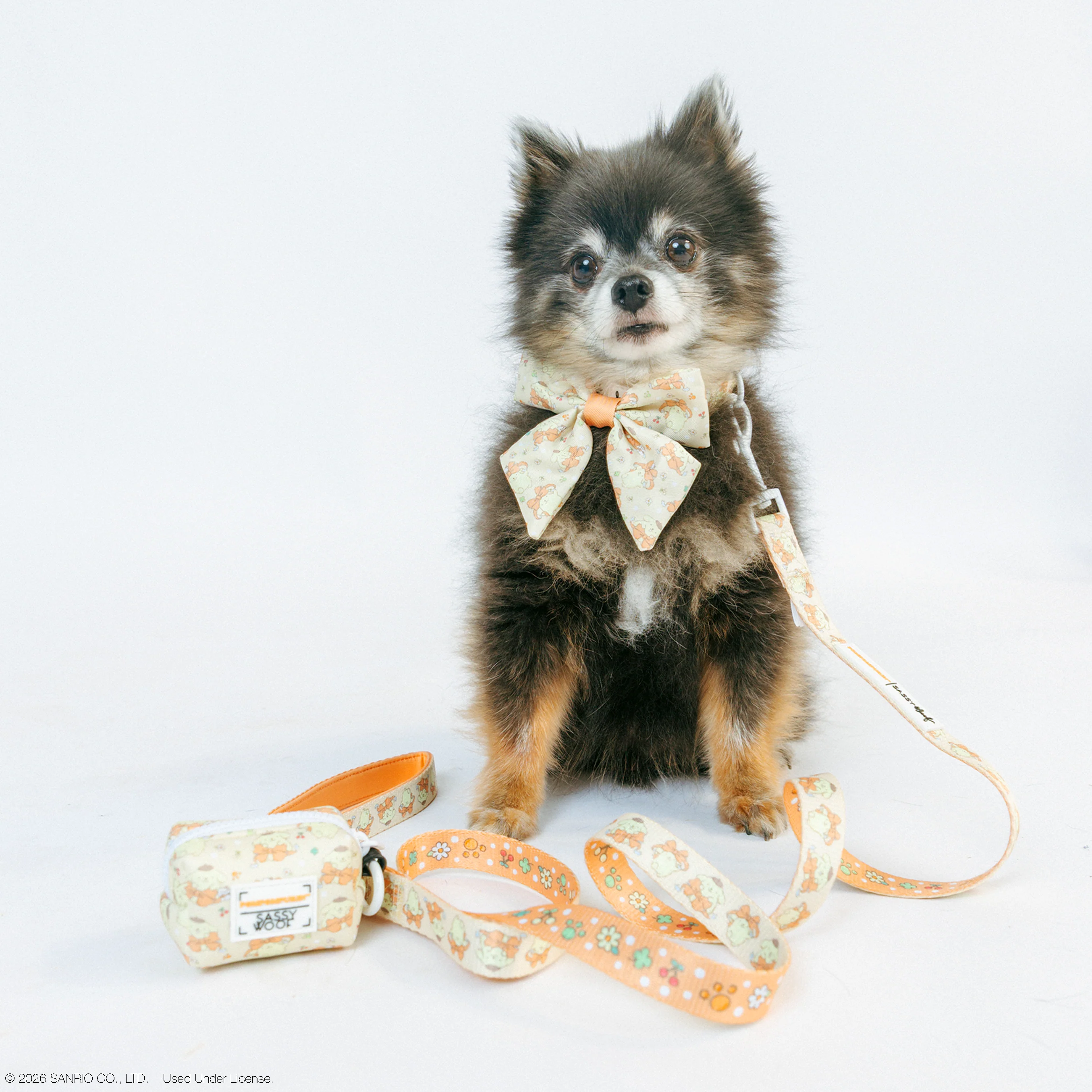 Dog Leash - Pompompurin™ - Image 12